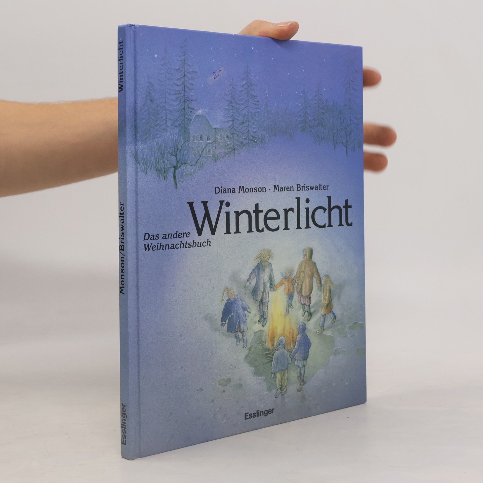 Winterlicht. Das andere Weihnachtsbuch