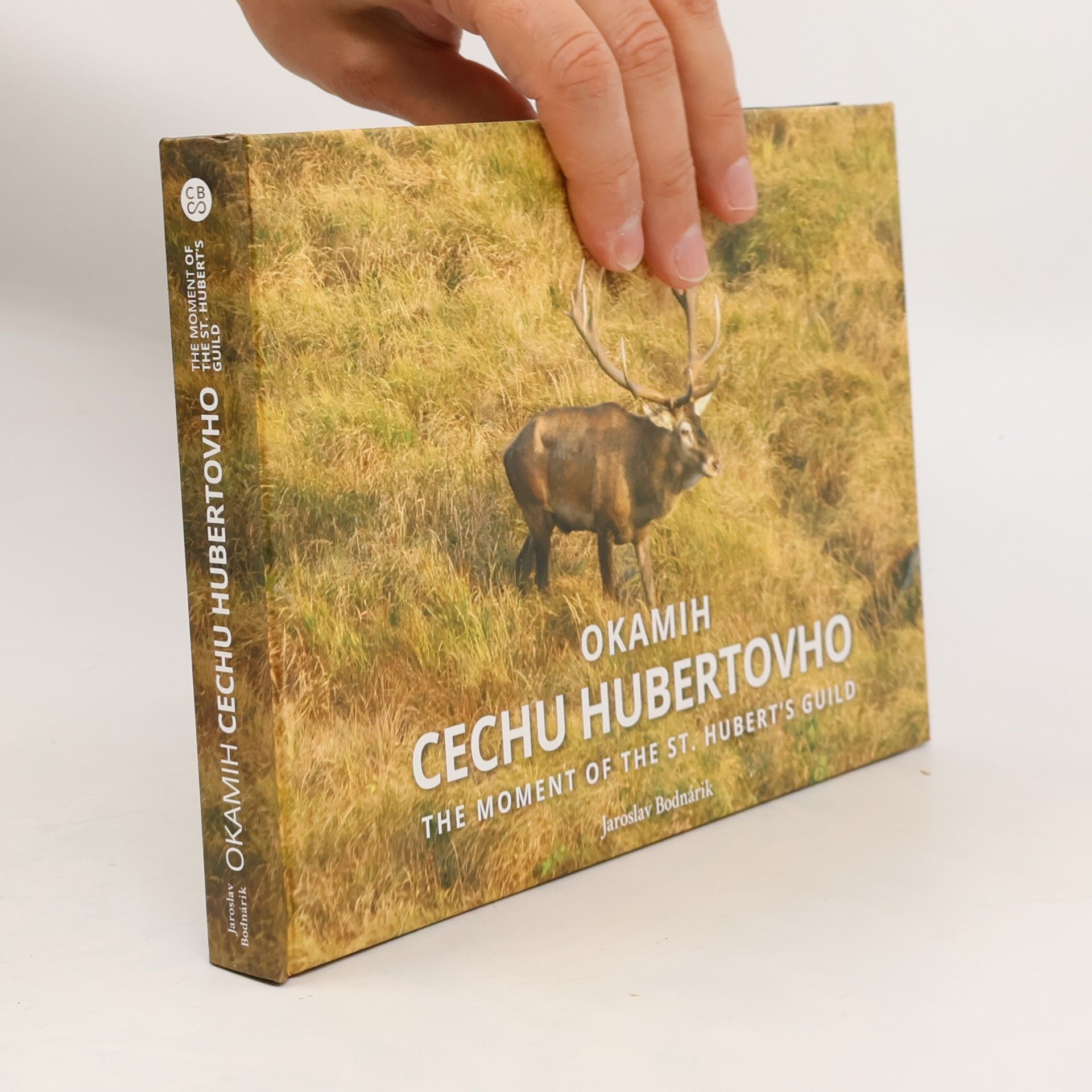 Jaroslav Bodnárik Okamih cechu Hubertovho