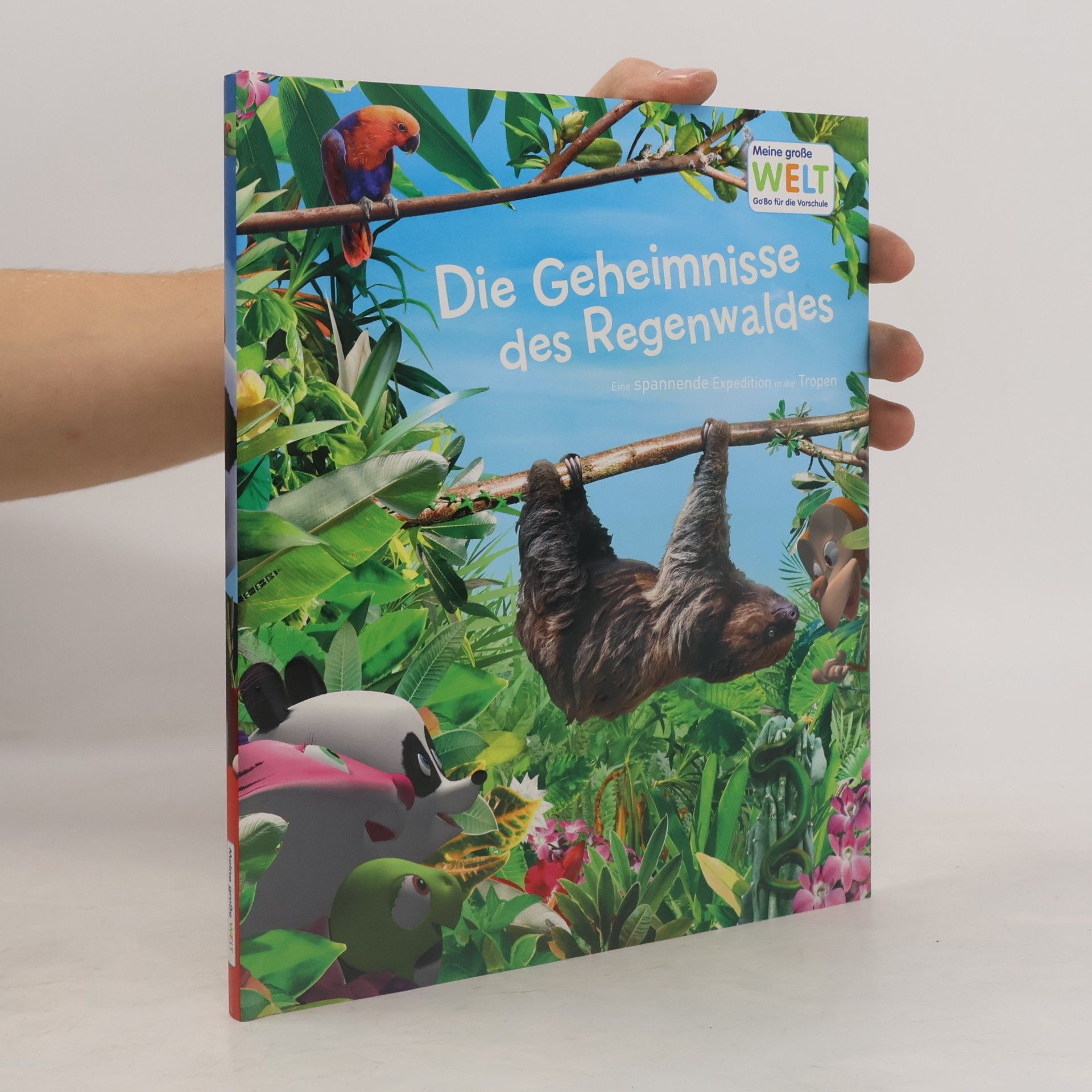 Kolektiv autorů Meine große WELT : Die Geheimnisse des Regenwaldes