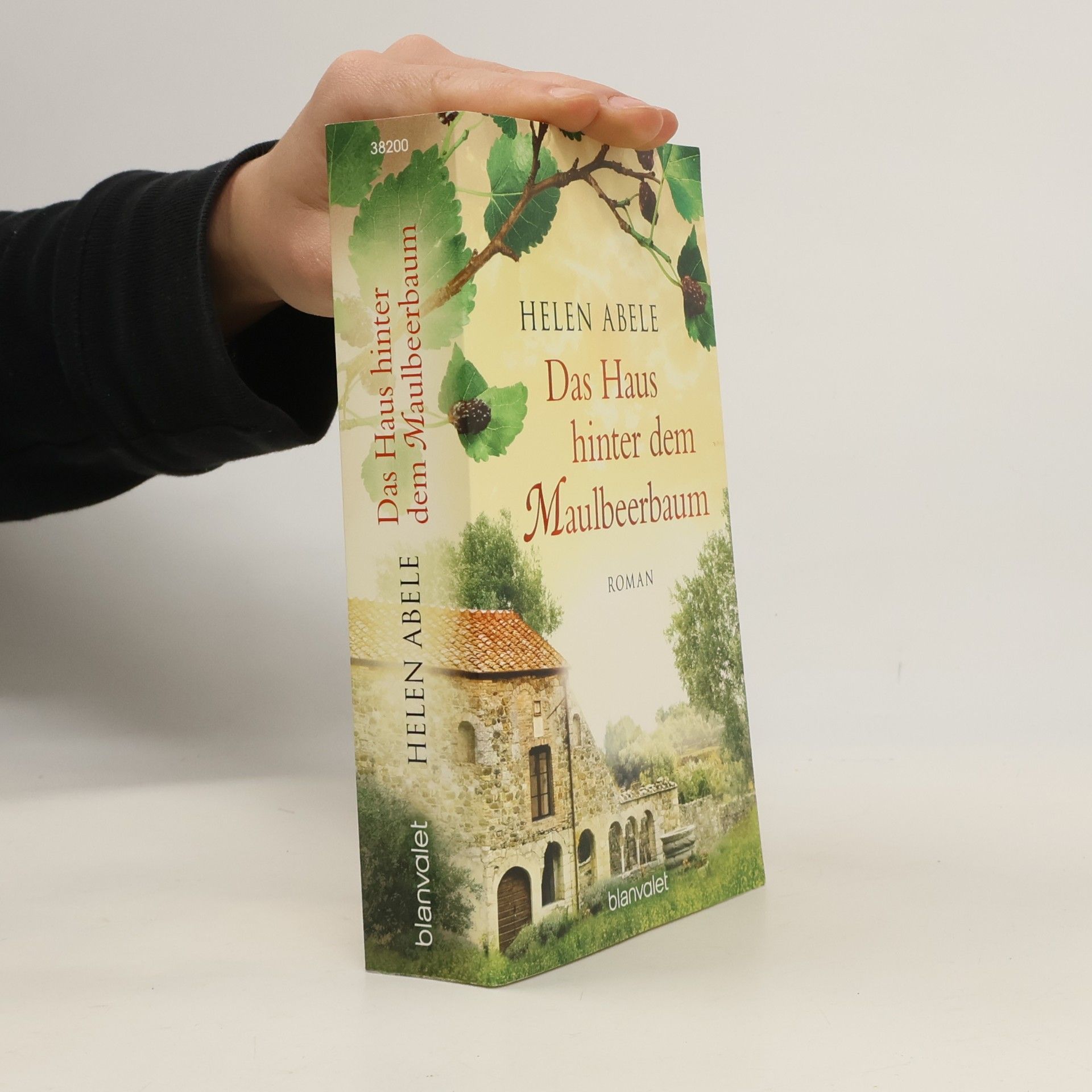 Das Haus hinter dem Maulbeerbaum