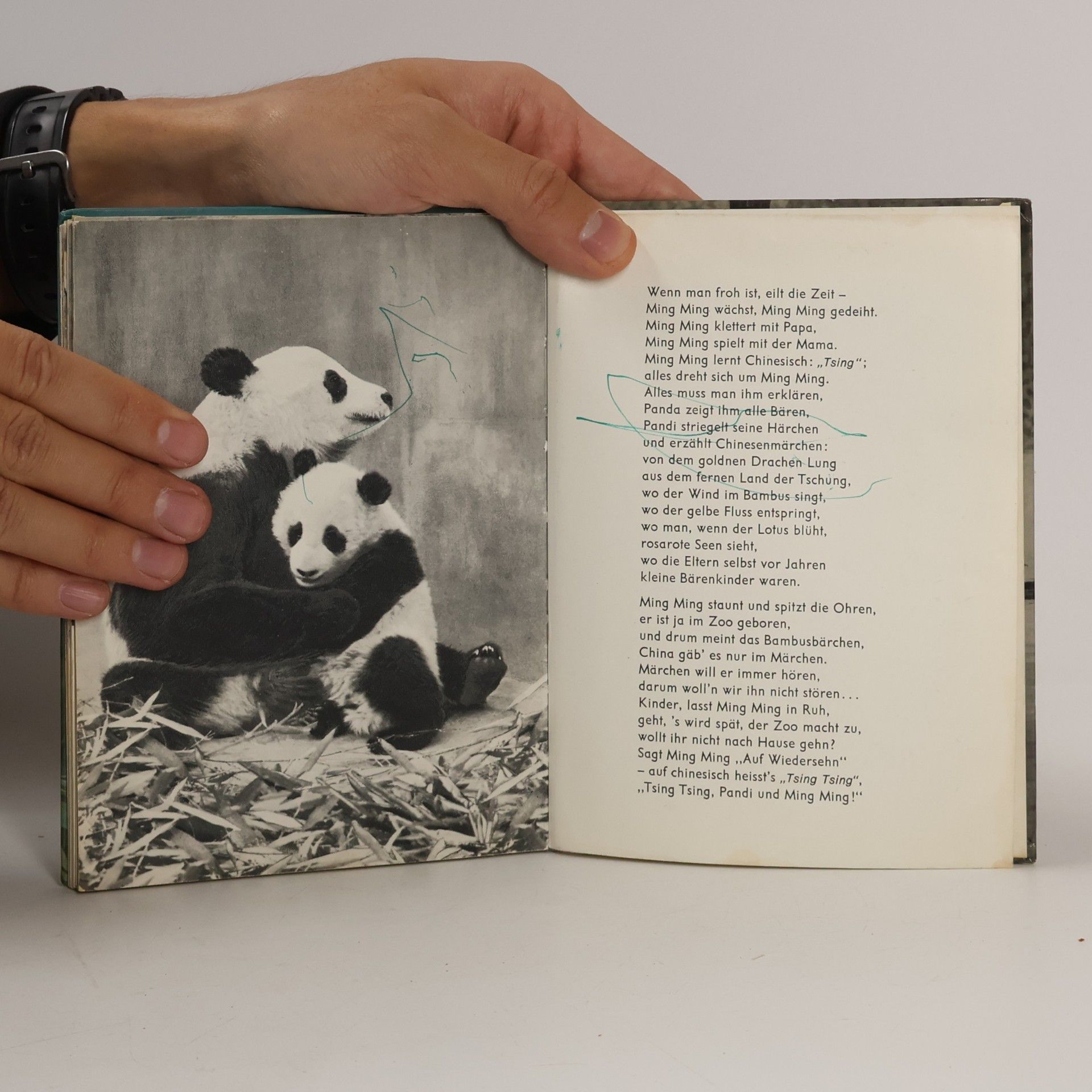 Autorenkollektiv Pandi und Panda