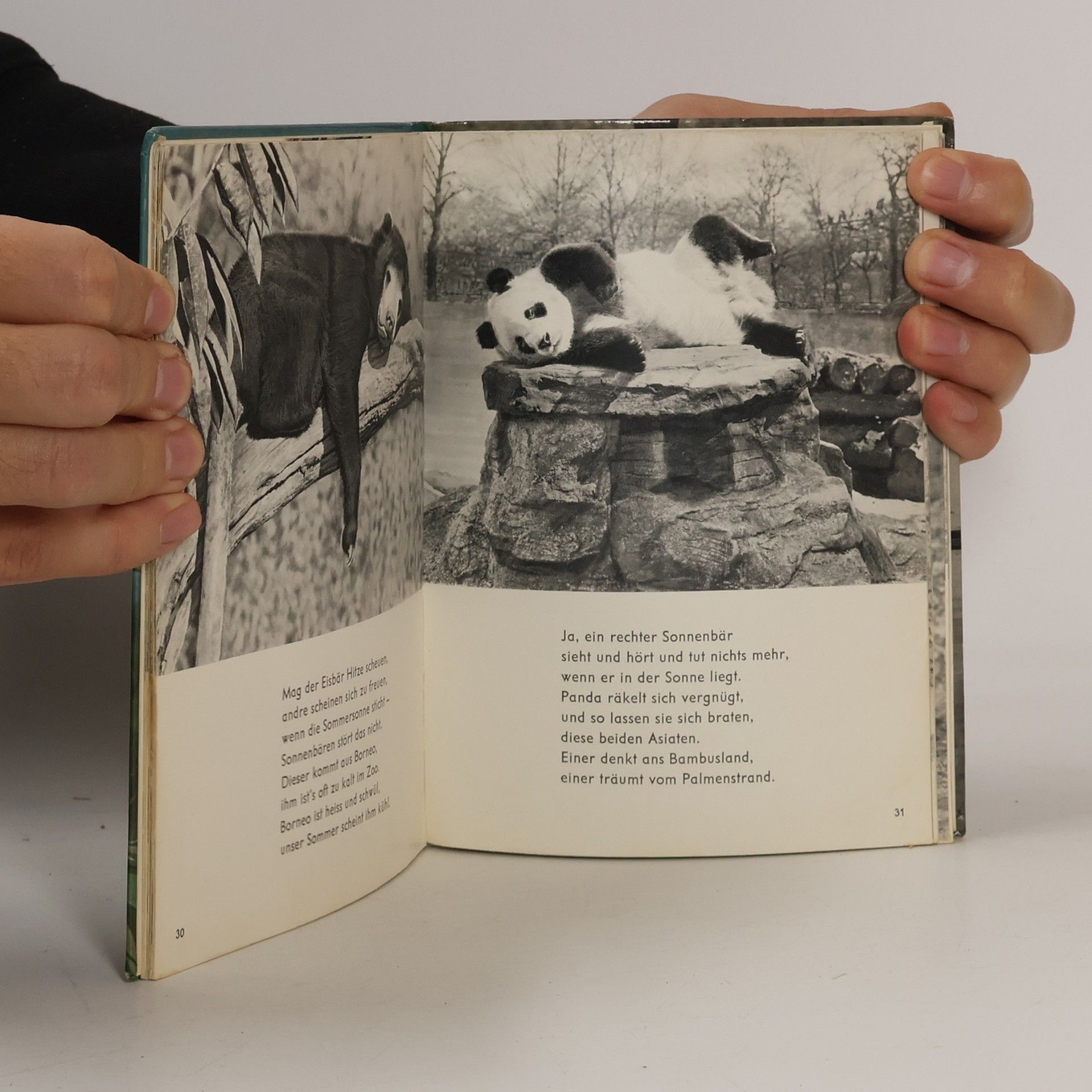 Autorenkollektiv Pandi und Panda