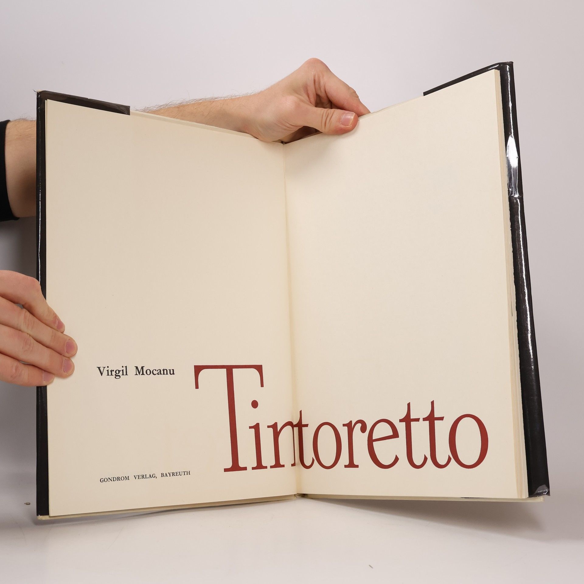 Virgil Mocanu Tintoretto