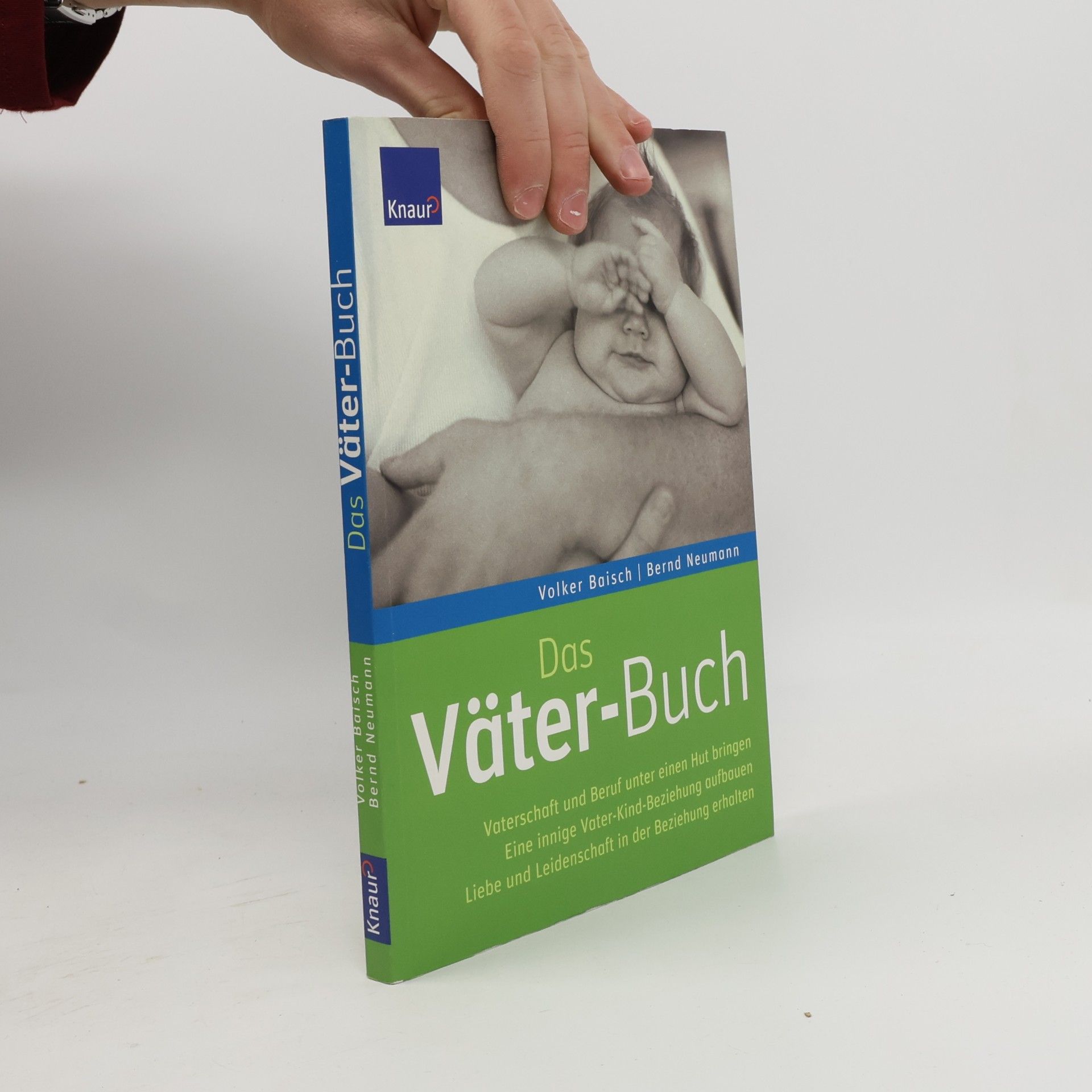 Das Väter-Buch. Vaterschaft und Beruf unter einen Hut bringen