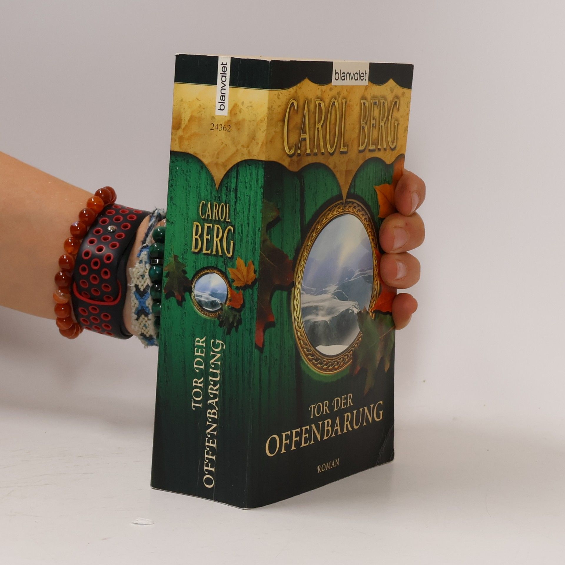 Carol Berg Tor der Offenbarung