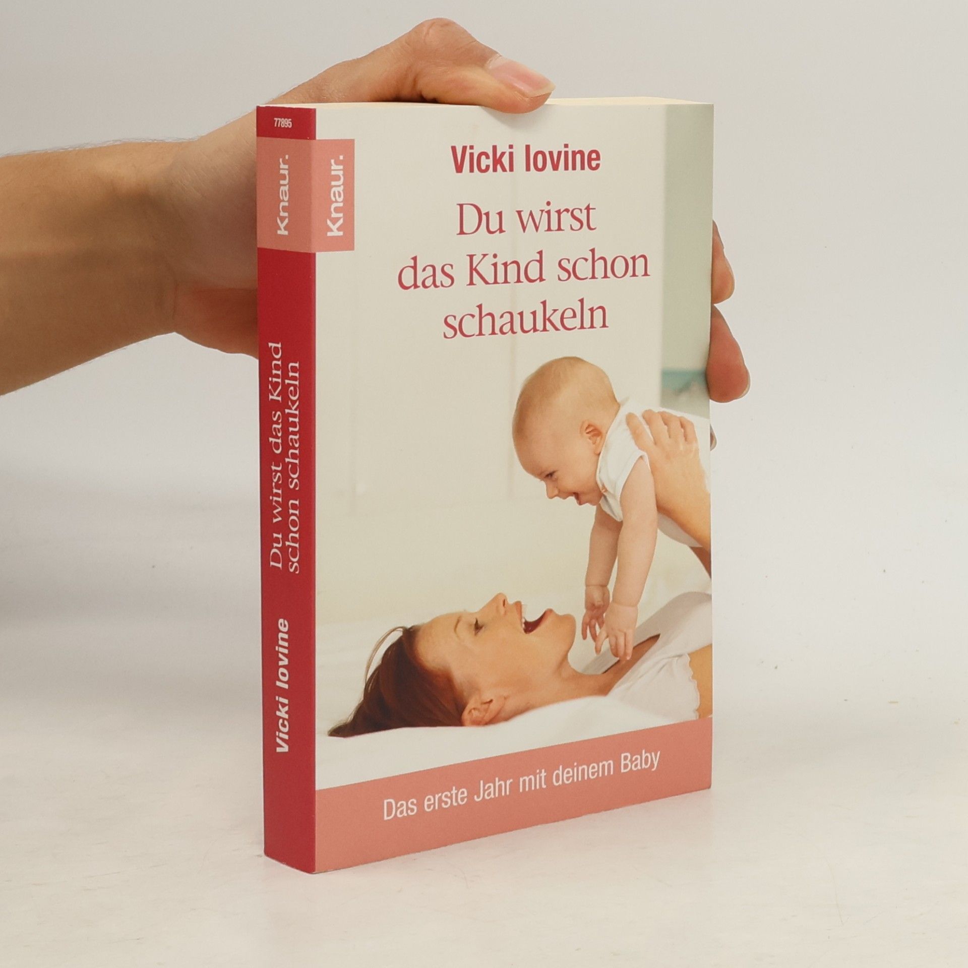 Vicki Lovine Du wirst das Kind schon schaukeln