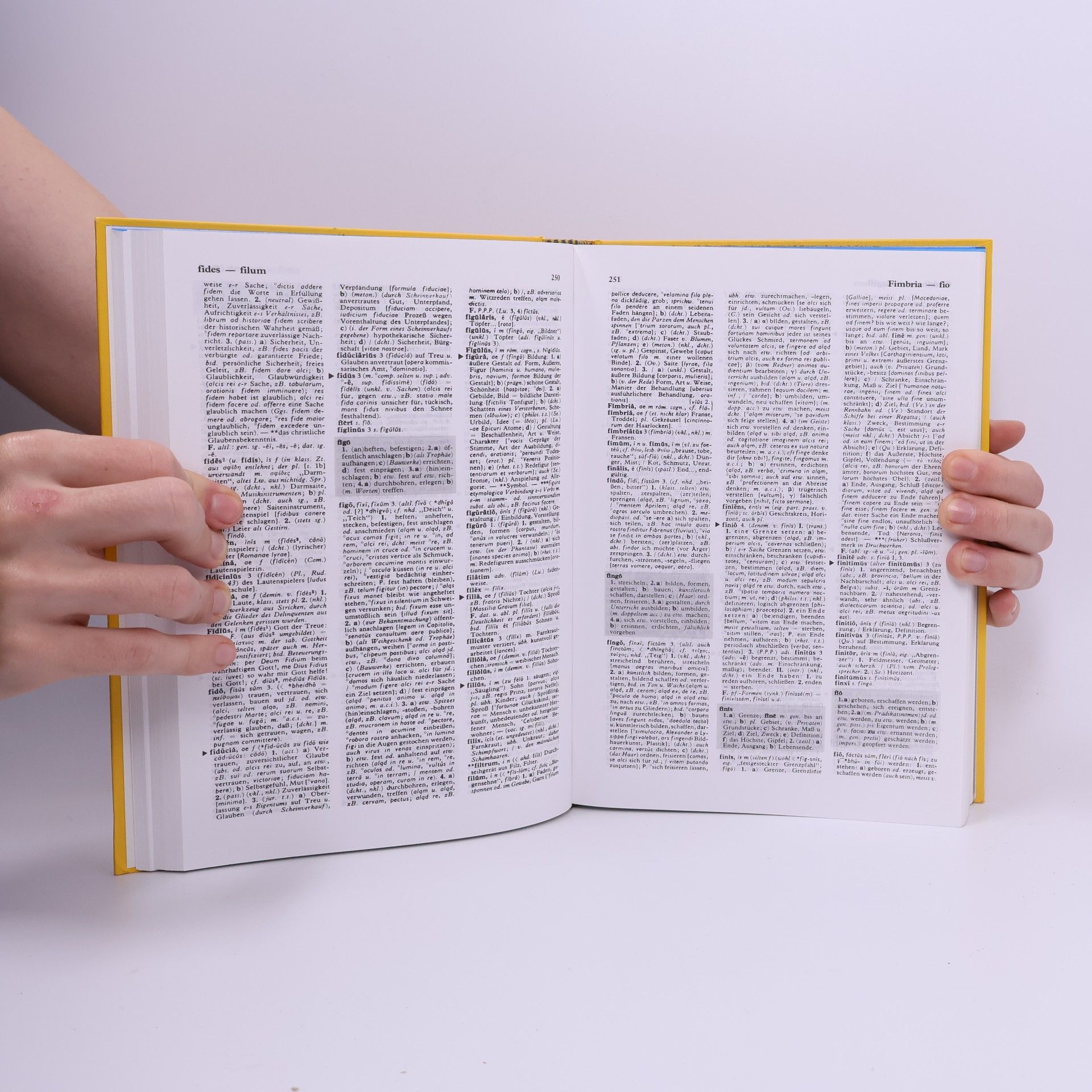 Erich Pertsch Langenscheidts Handwörterbuch Lateinisch-Deutsch