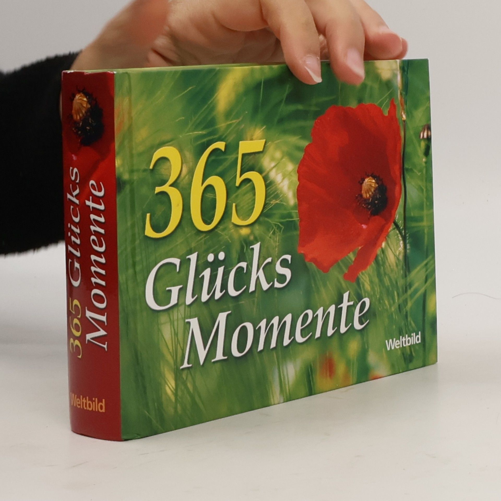 Kolektív autorov 365 Glücks Momente