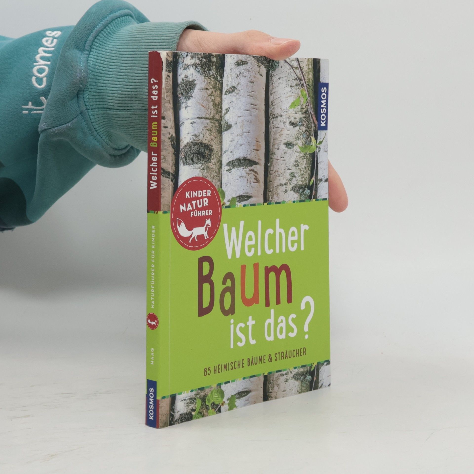 Welcher Baum ist das?