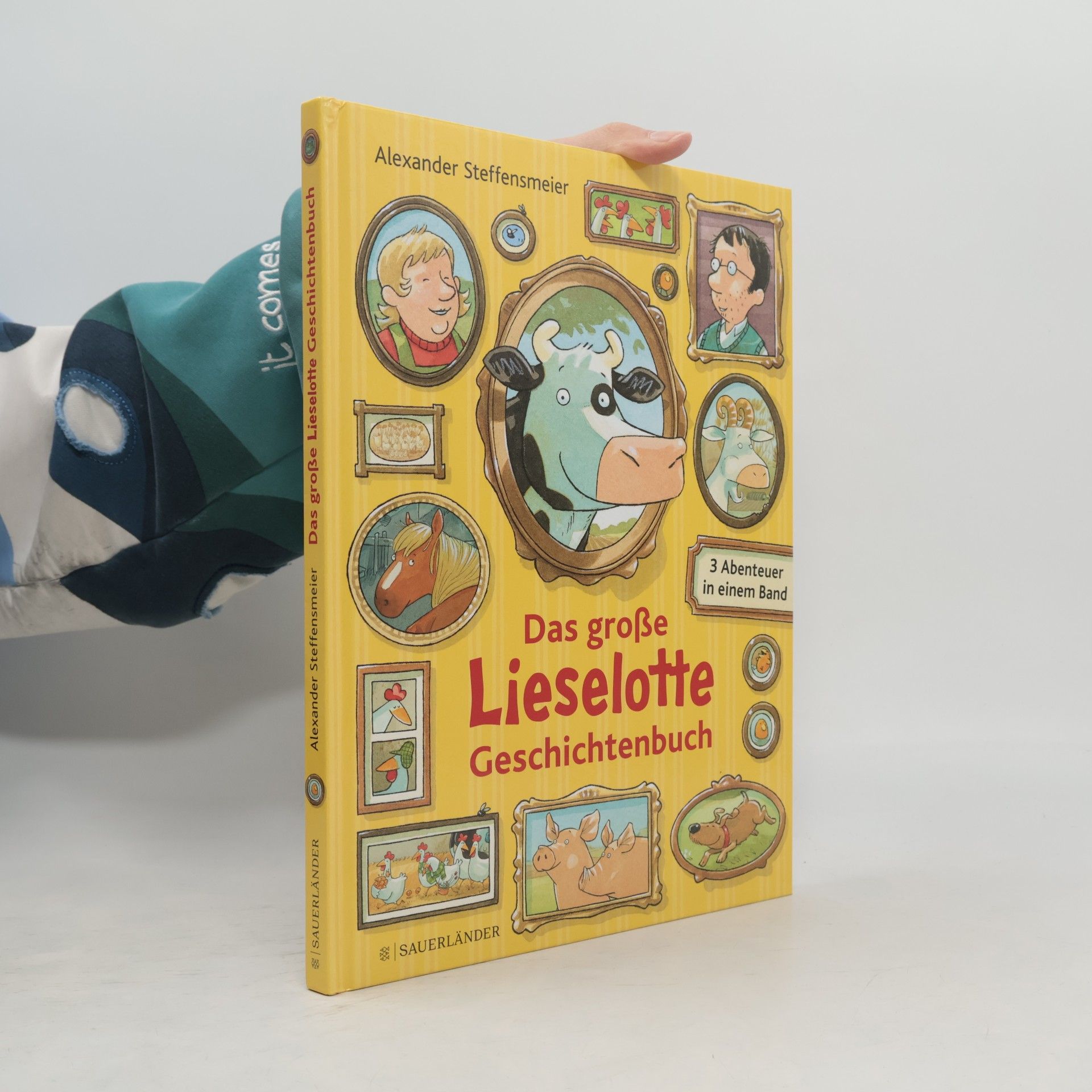 Alexander Steffensmeier Das große Lieselotte Geschichtenbuch