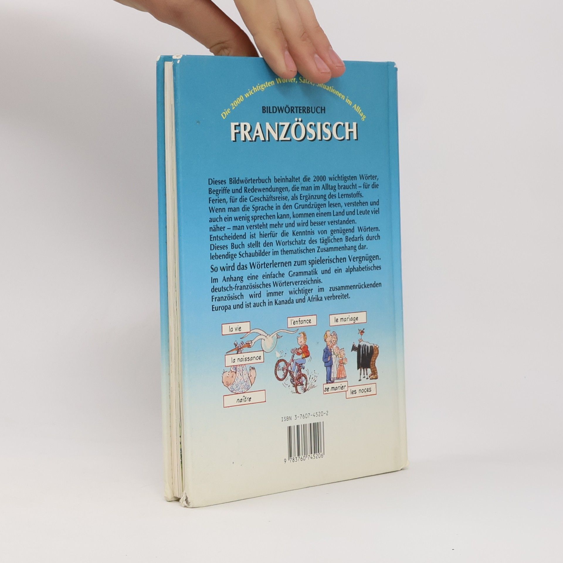 Helen Davies Bildwörterbuch Französisch