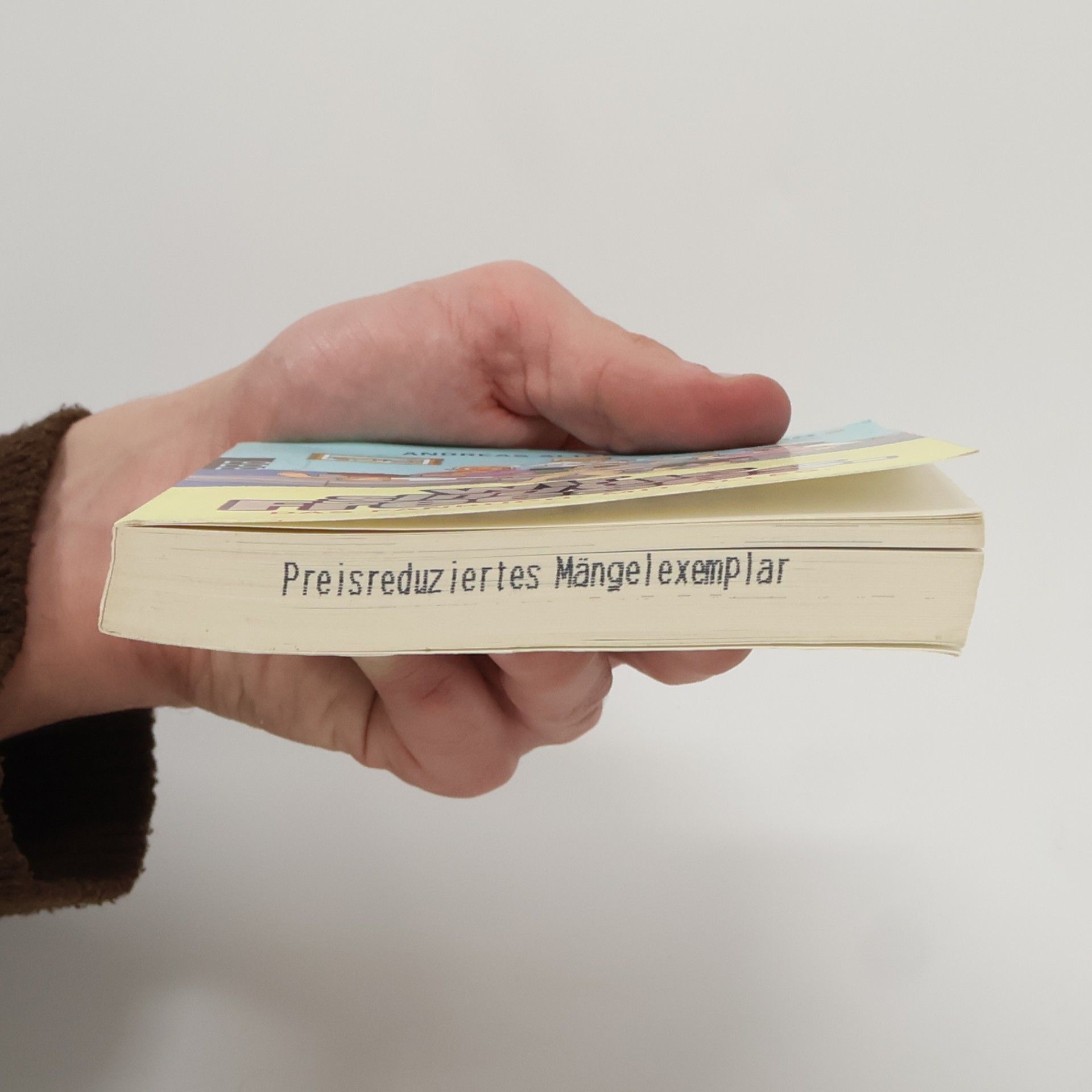 Andreas Altenburg Wir sind die Freeses: das Fanbuch, mit alles