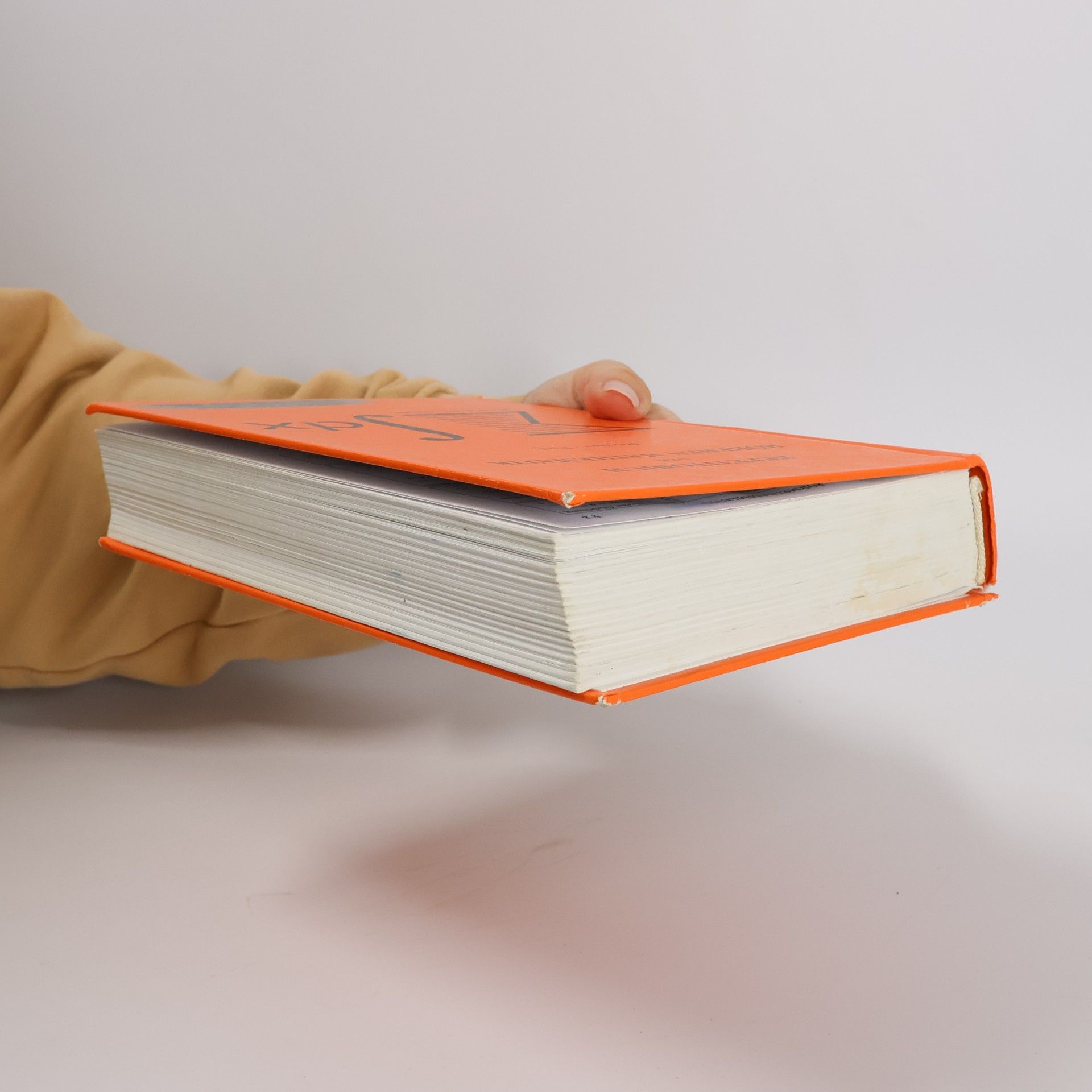 Gerhard Merziger Repetitorium der höheren Mathematik