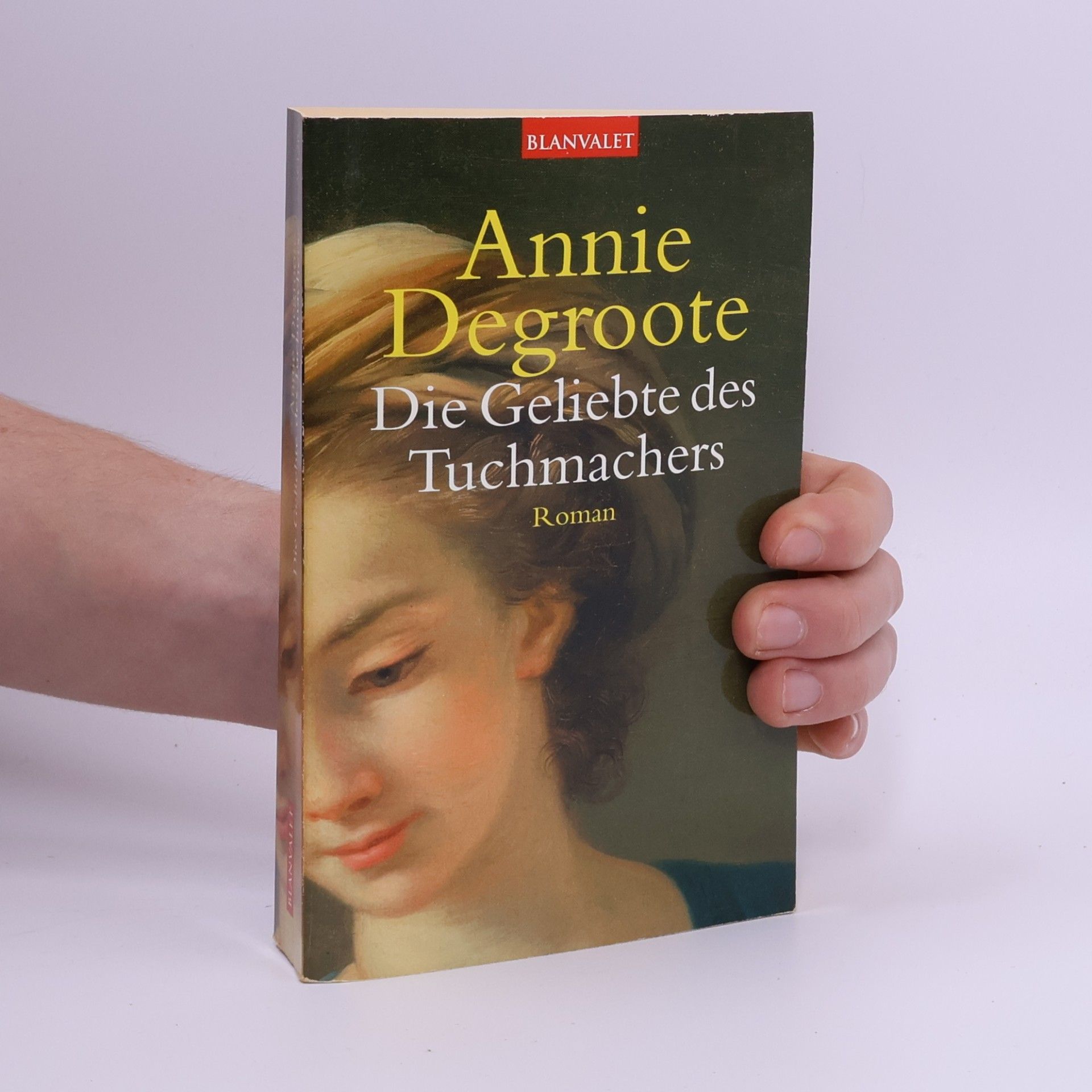 Annie Degroote Die Geliebte des Tuchmachers