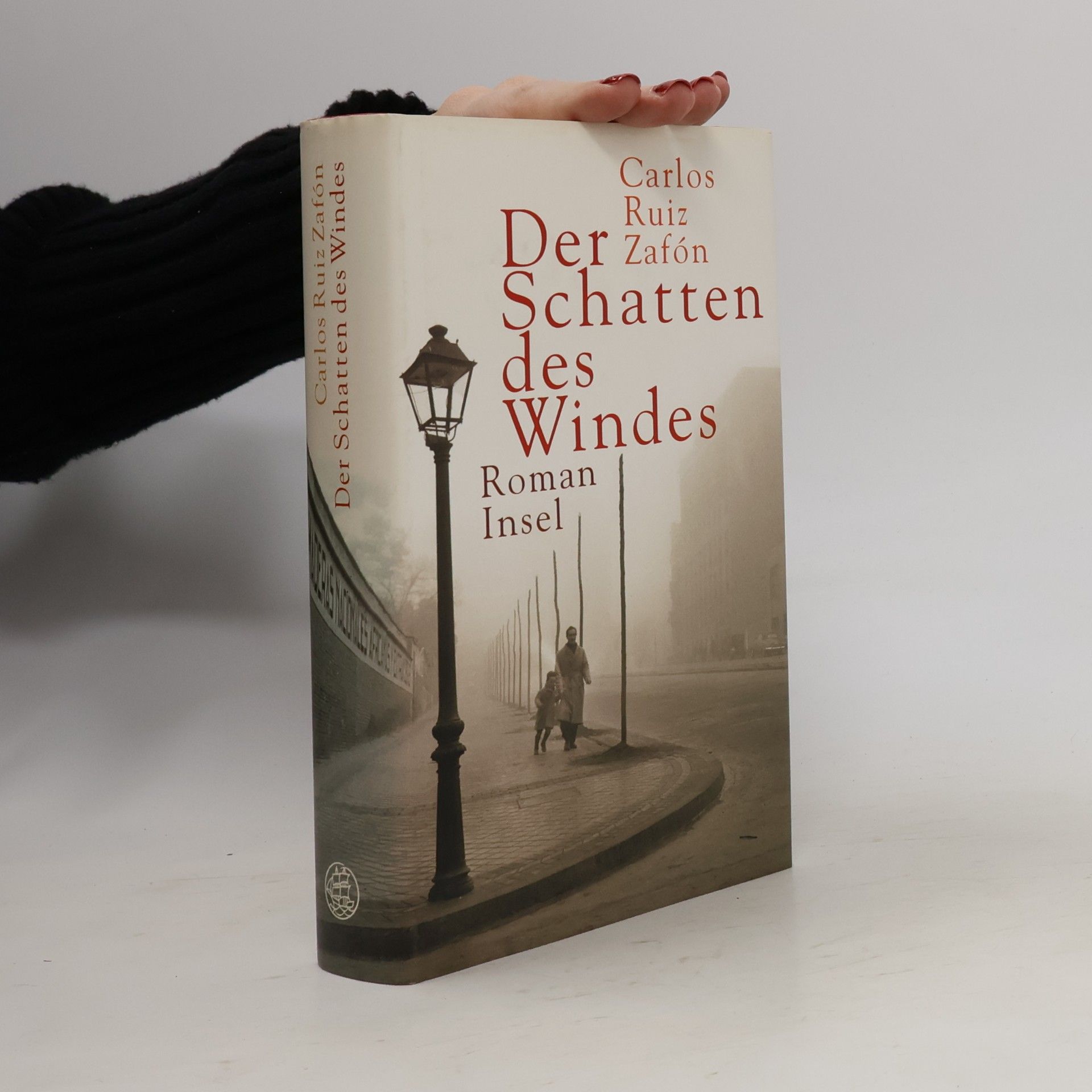 Carlos Ruiz Zafón Der Schatten des Windes