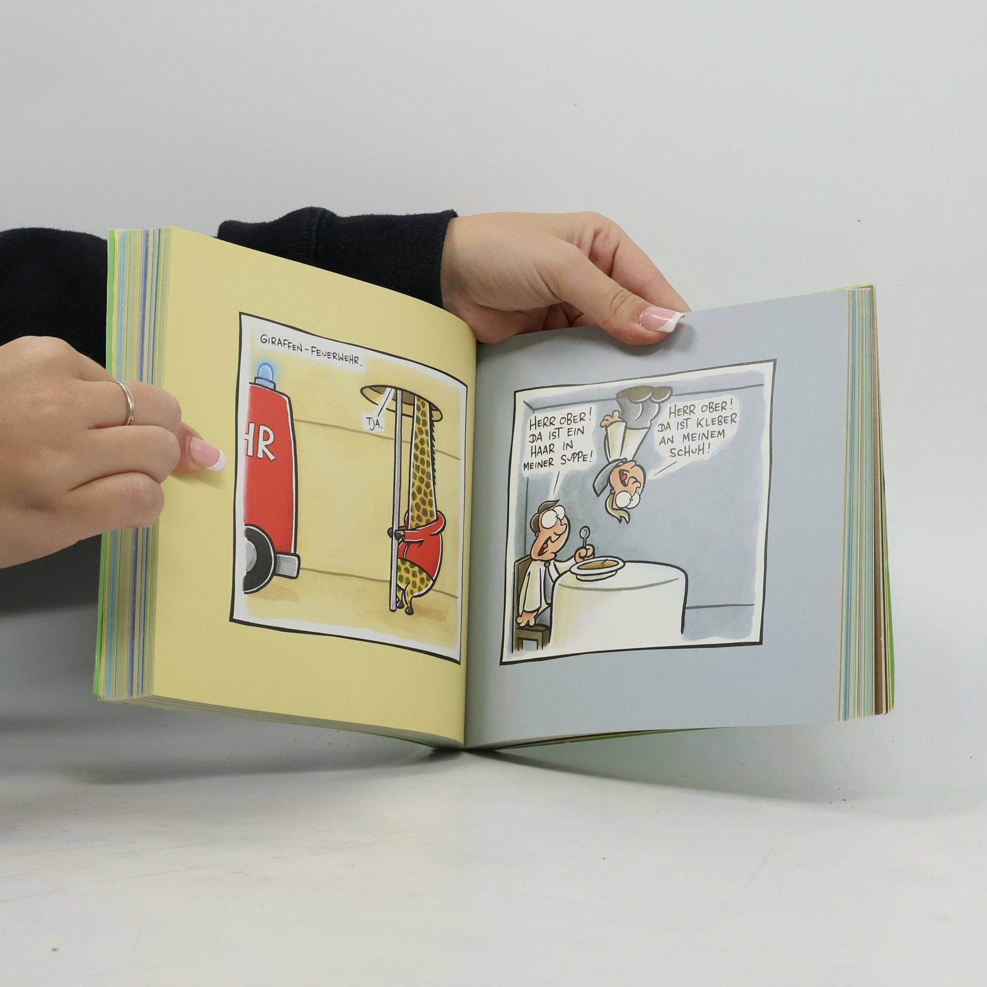 Joscha Sauer Nichtlustig - das zweite dicke Cartoonbuch