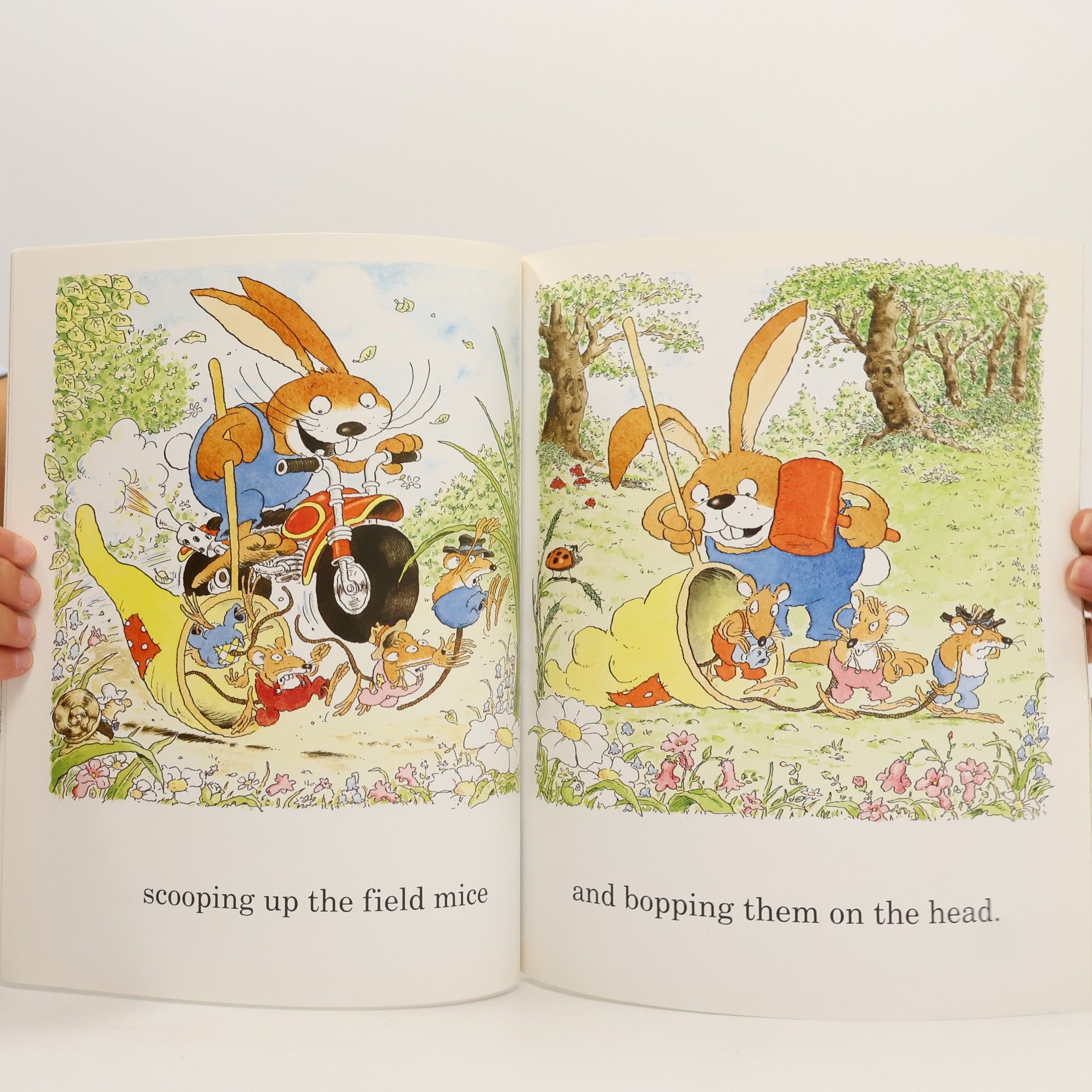 Michael Rosen Little Rabbit Foo Foo