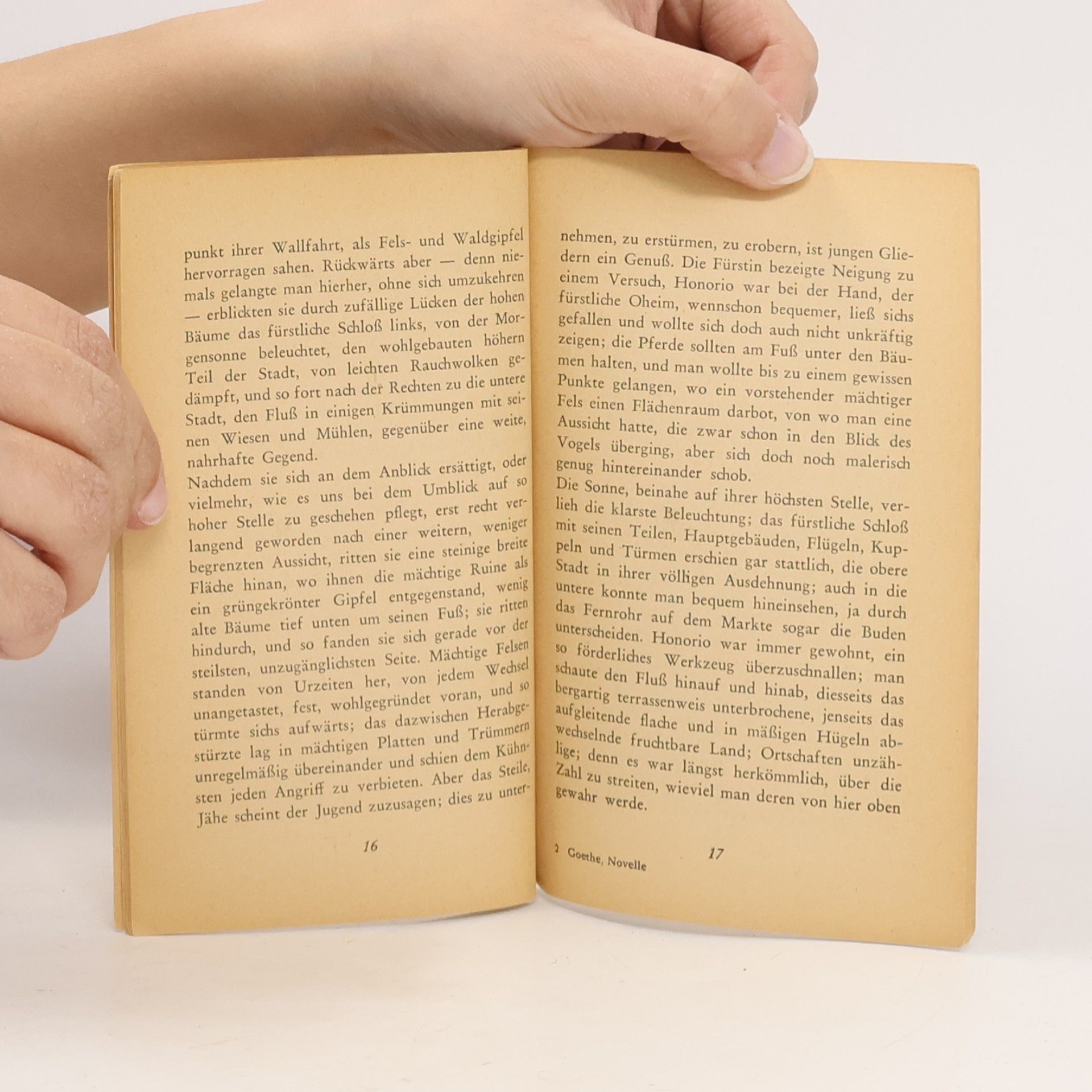 Alfred Finsterer Novelle
