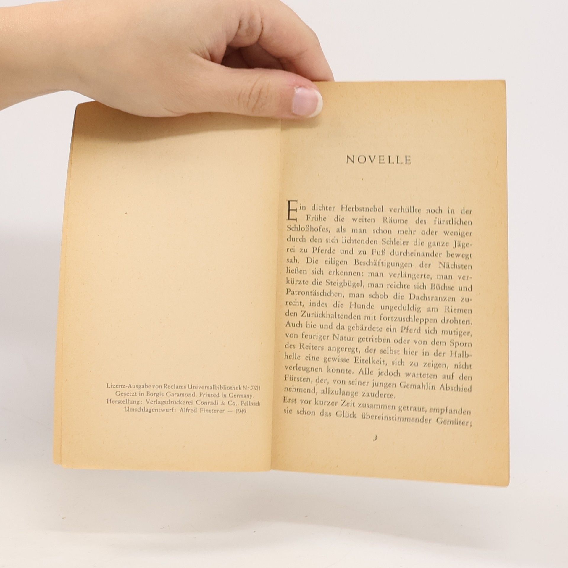 Alfred Finsterer Novelle