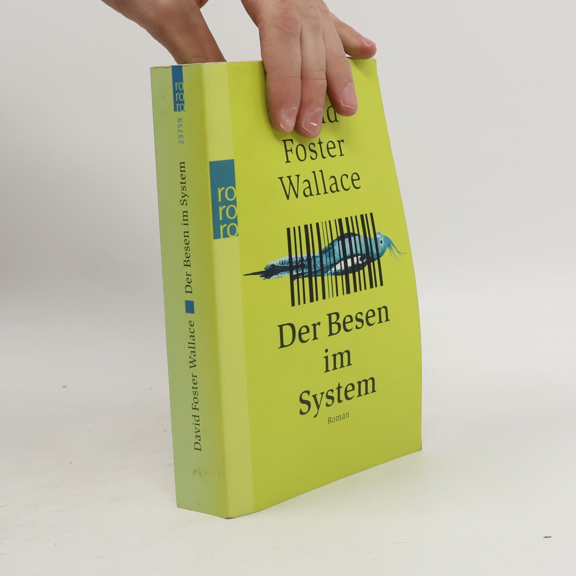 David Foster Wallace Der Besen im System