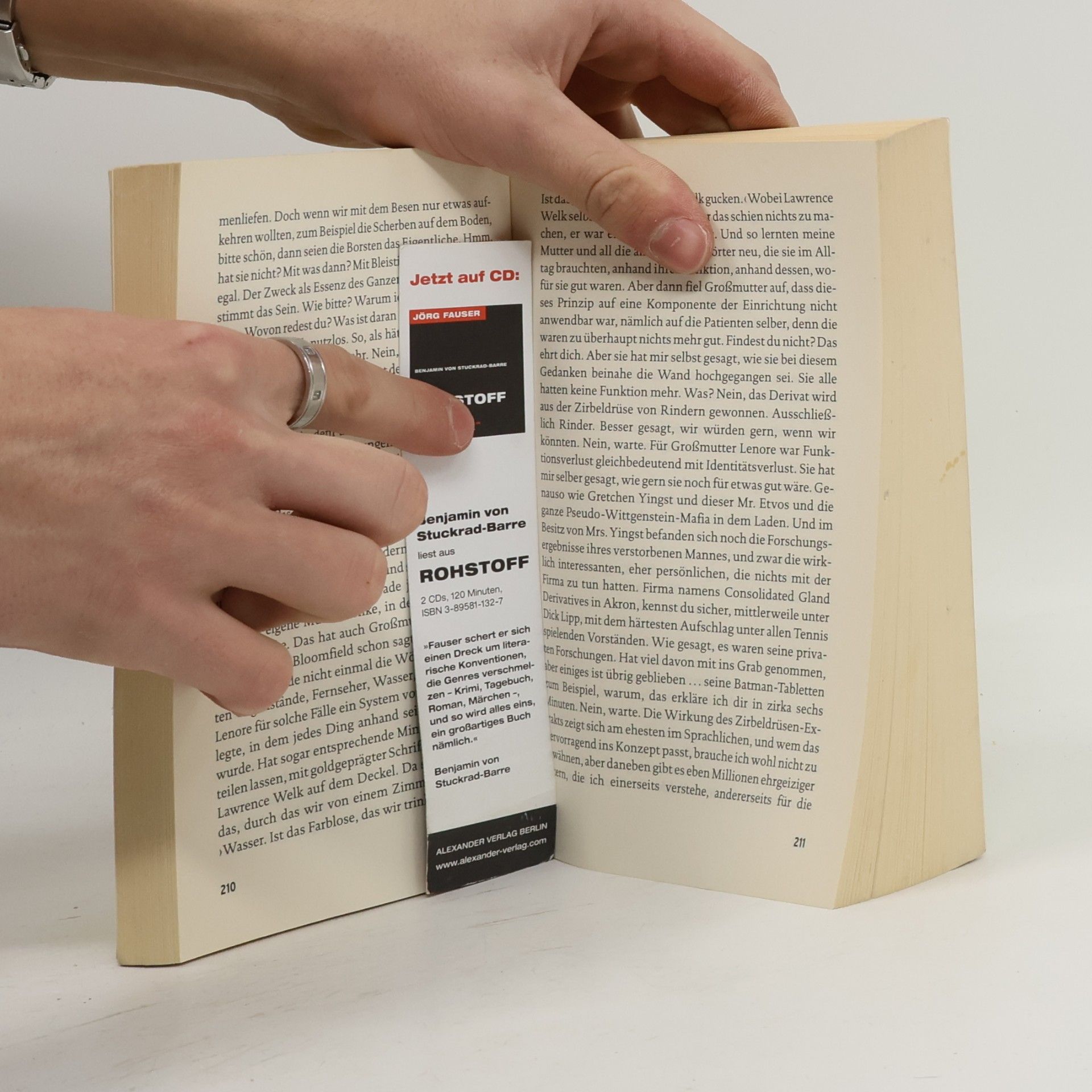 David Foster Wallace Der Besen im System