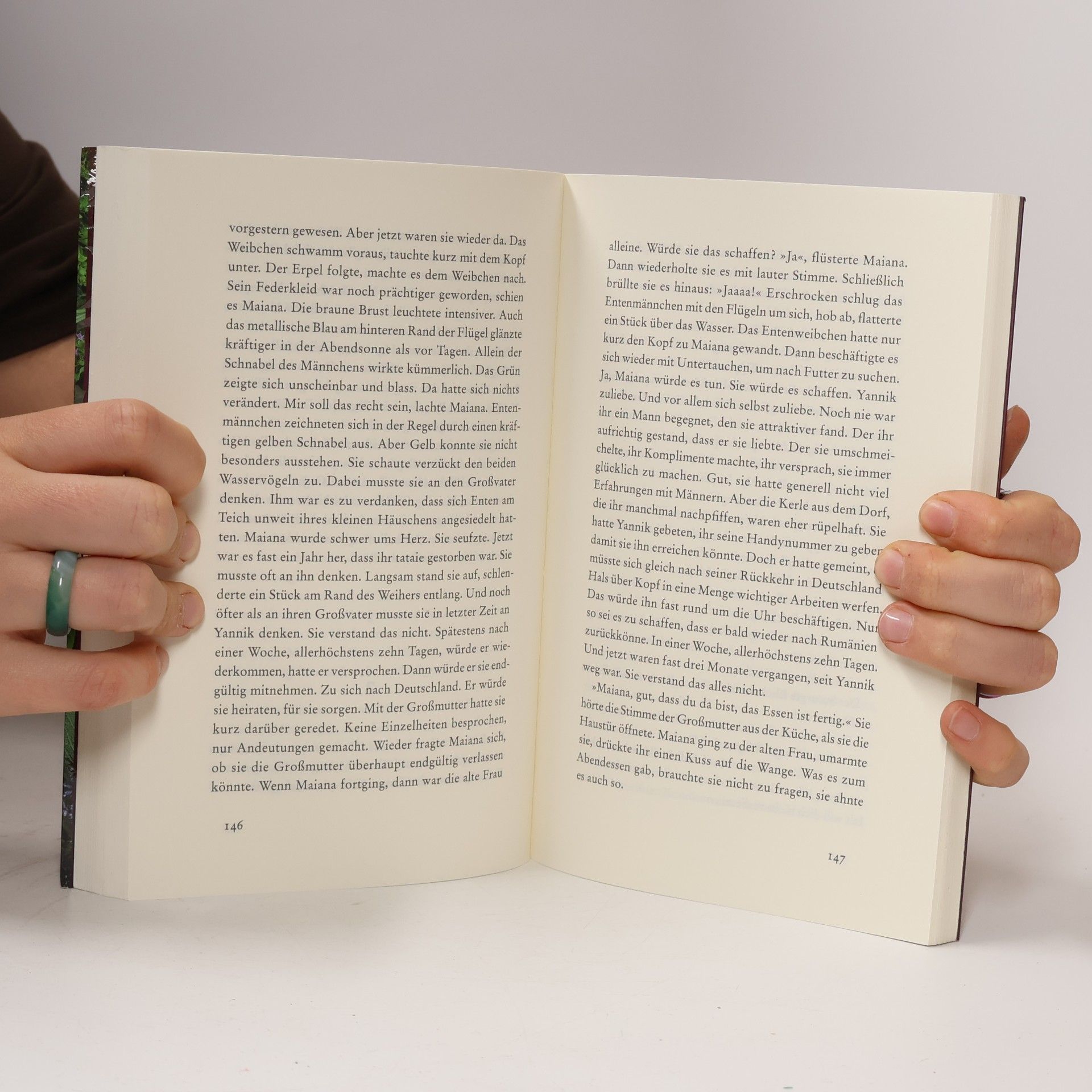 Manfred Baumann Majoran, Mord und Meisterwurz