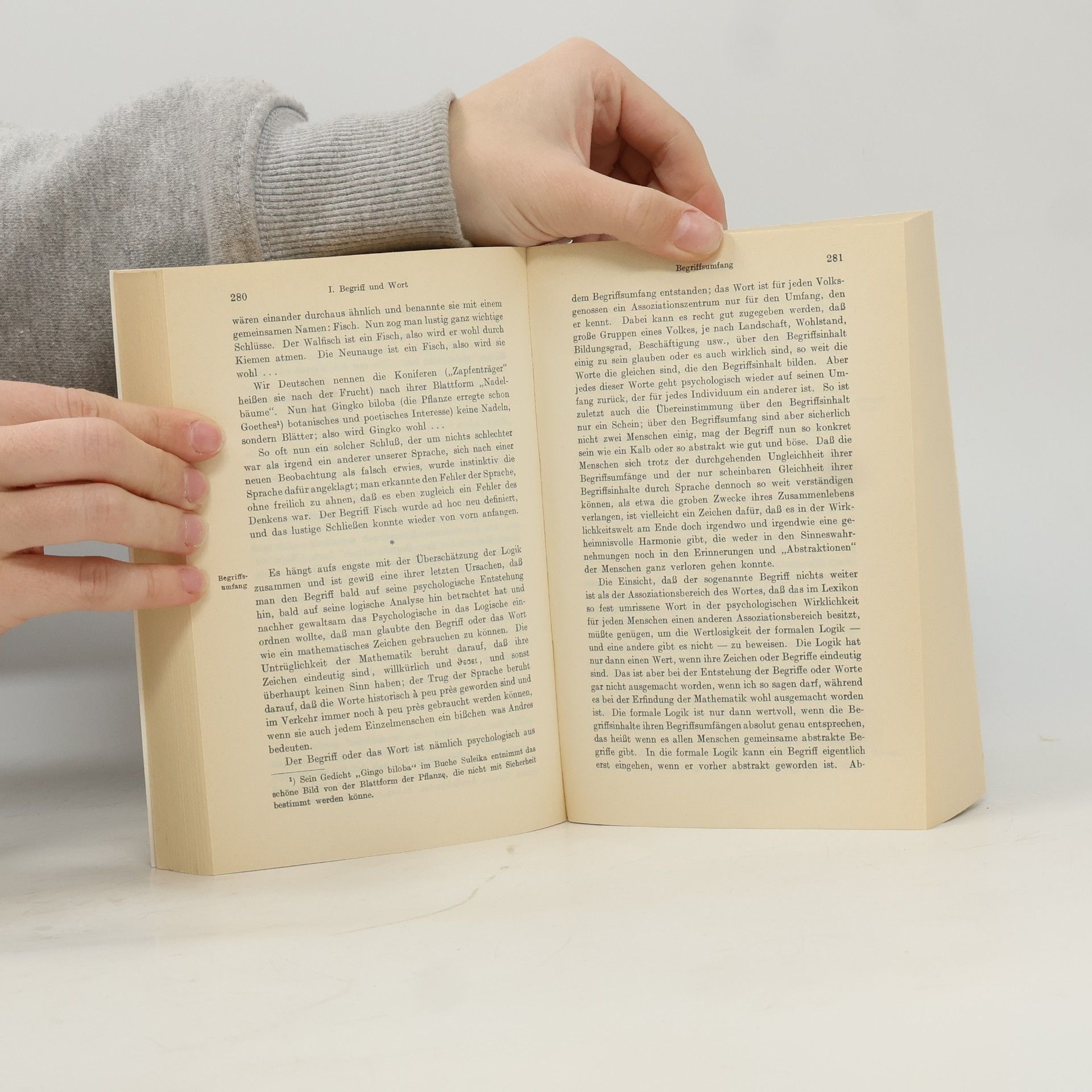 Fritz Mauthner Kritik der Sprache - 3: Zur Grammatik und Logik