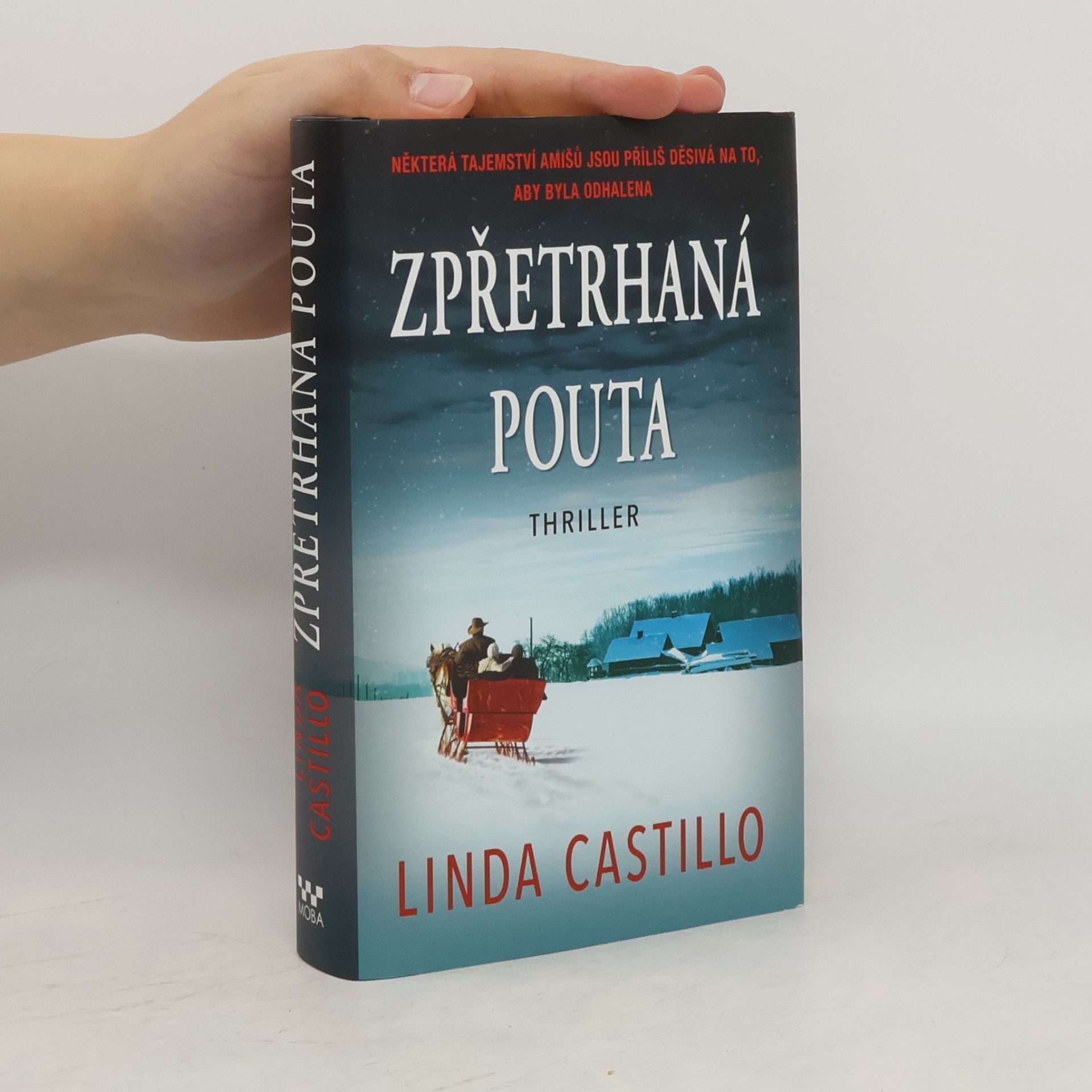 Lenka Faltejsková Zpřetrhaná pouta