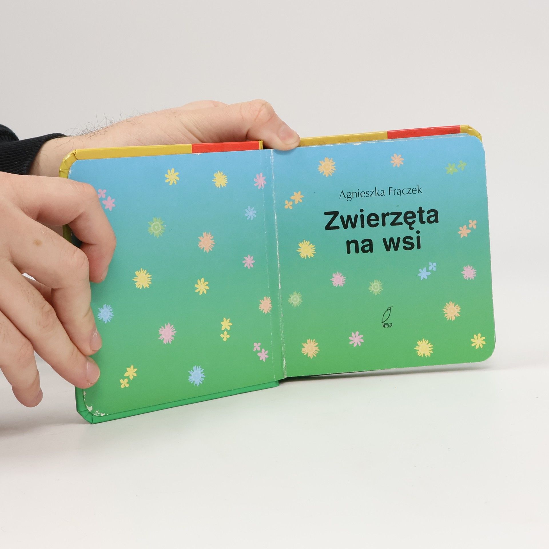 Agnieszka Frączek Na wsi