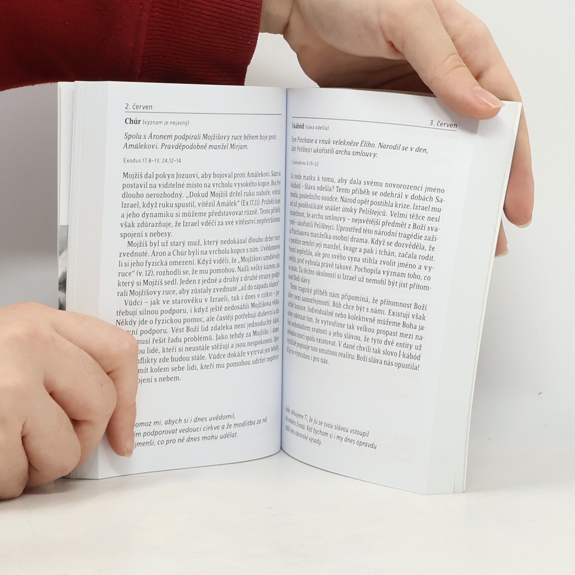 Reinder Bruinsma Tváří v tvář. Osobní příběhy biblických postav