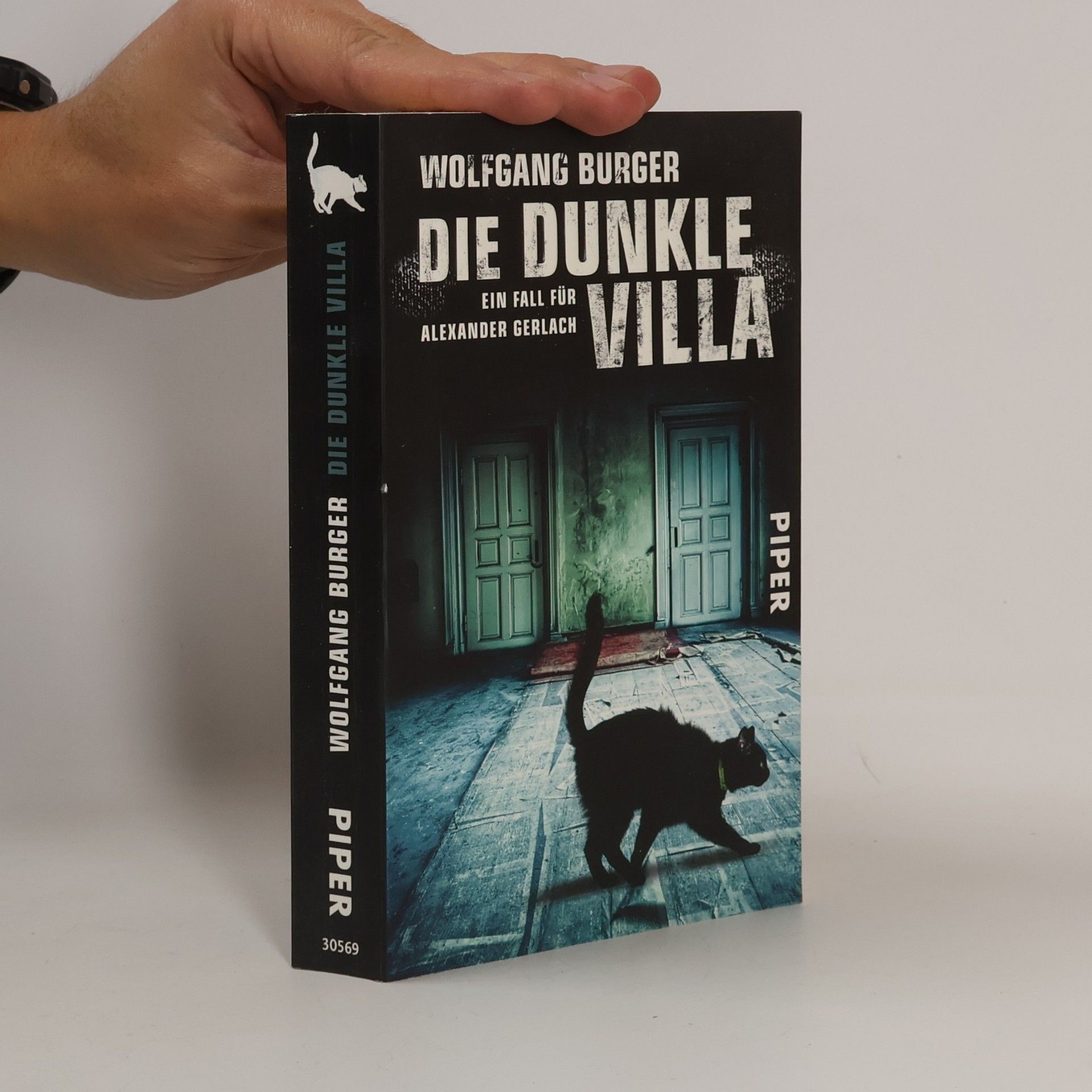 Die dunkle Villa