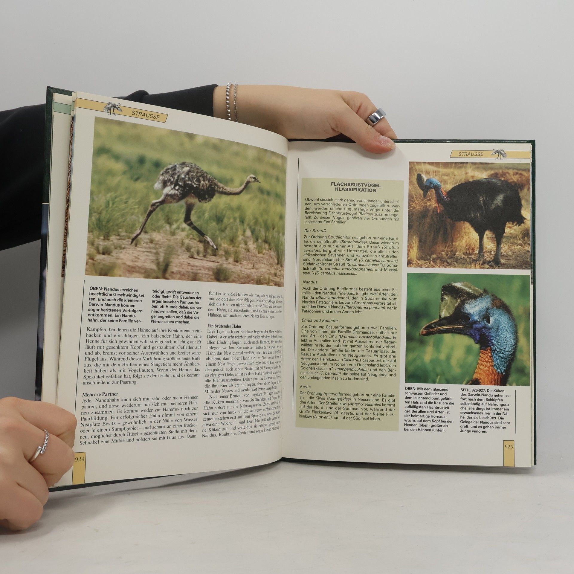 Kolektiv autorů Lebendiges Tierreich 16
