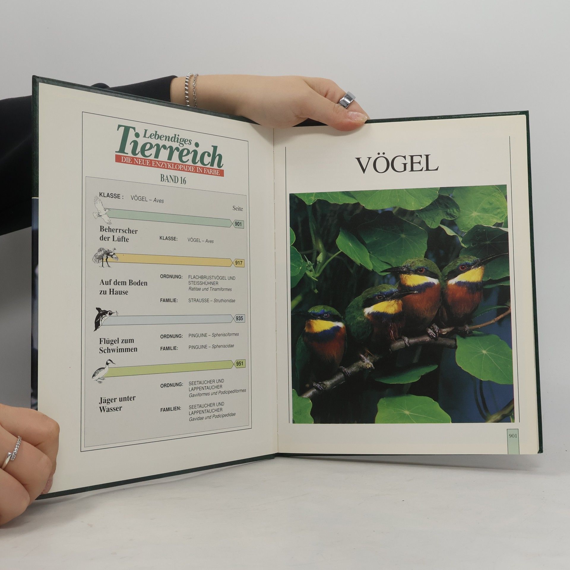 Kolektiv autorů Lebendiges Tierreich 16