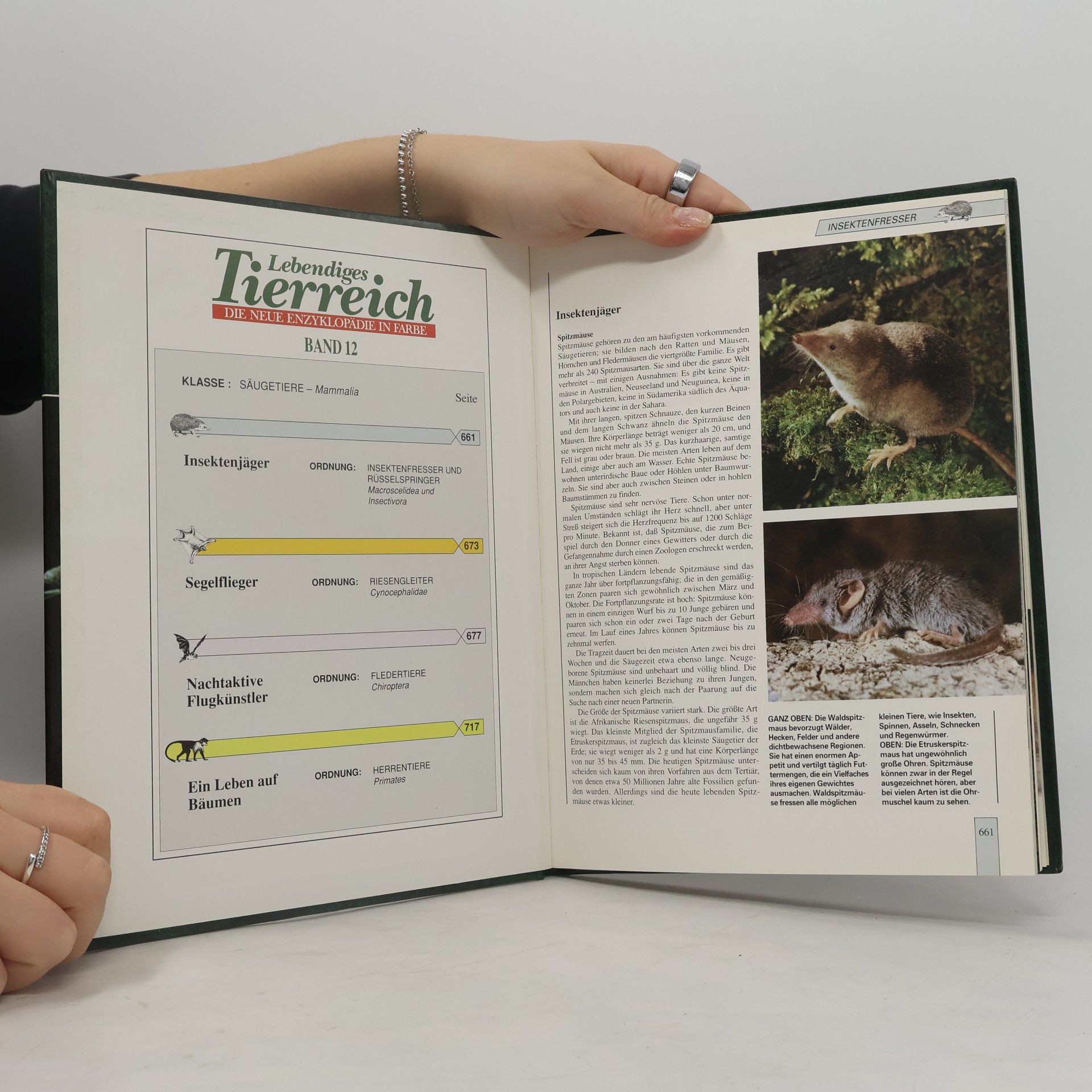 Kolektiv autorů Lebendiges Tierreich 12