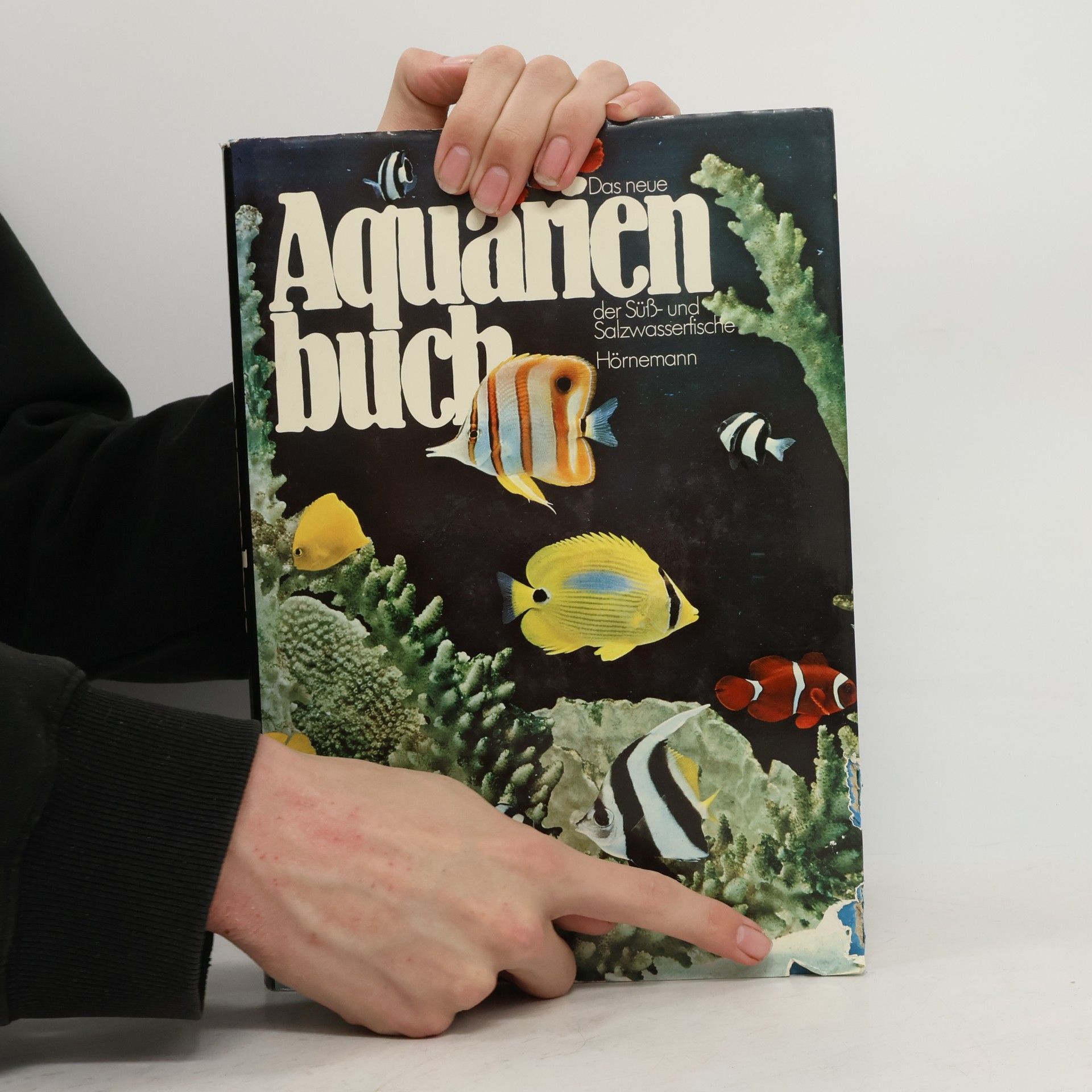 Giuseppe Mazza Das neue Aquarienbuch der Süss- und Salzwasserfische