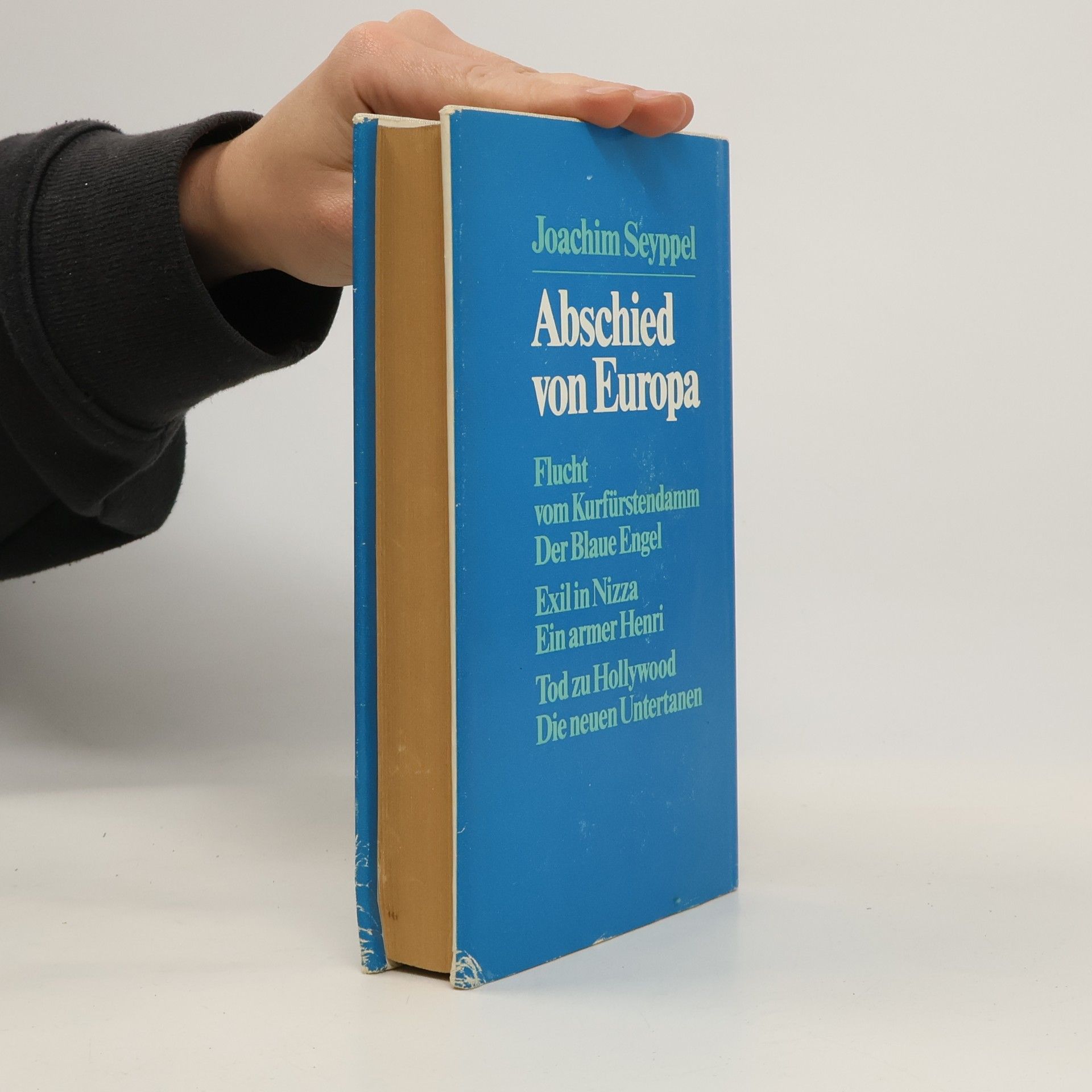 Joachim Seyppel Abschied von Europa