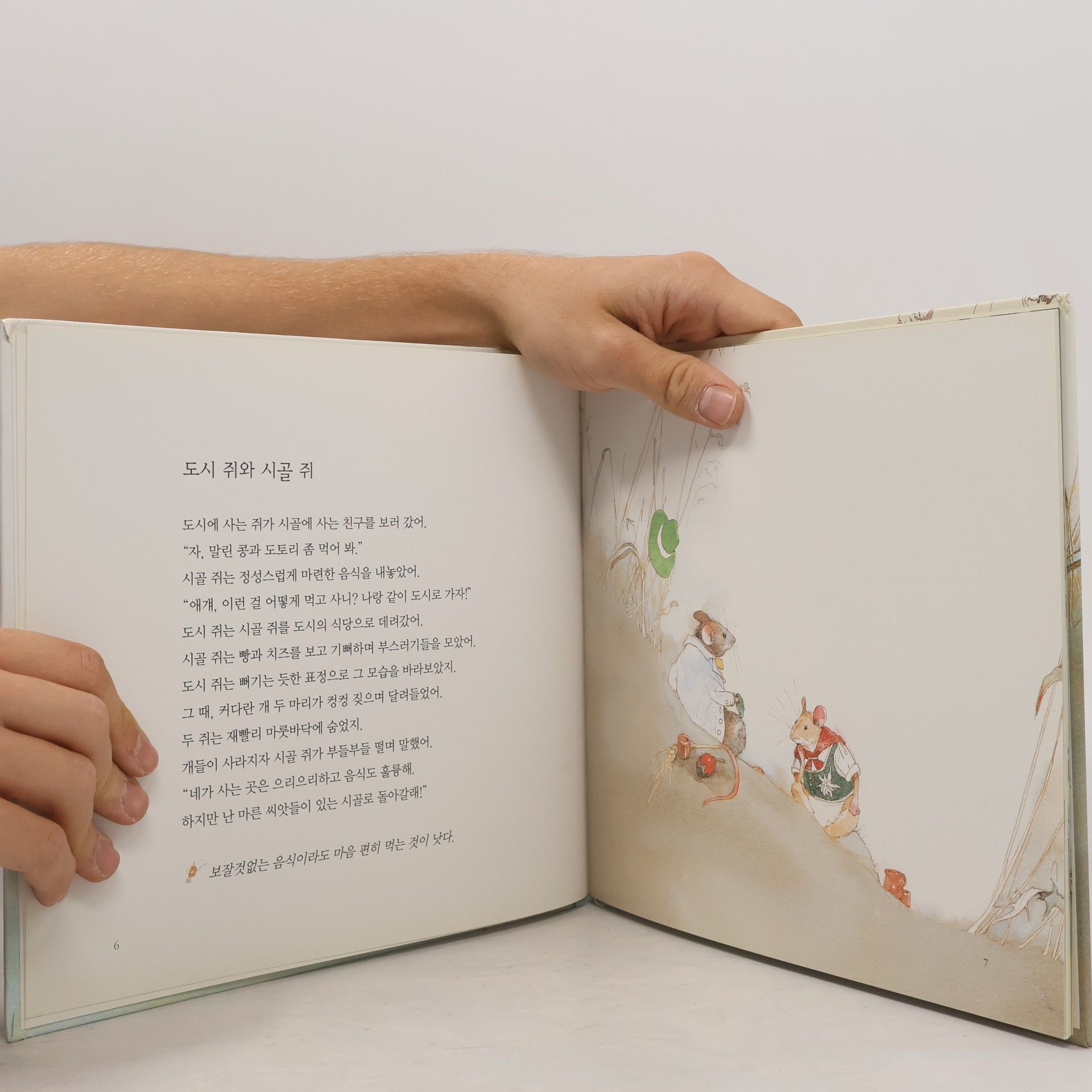 Lisbeth Zwerger 이솝 이야기 21
