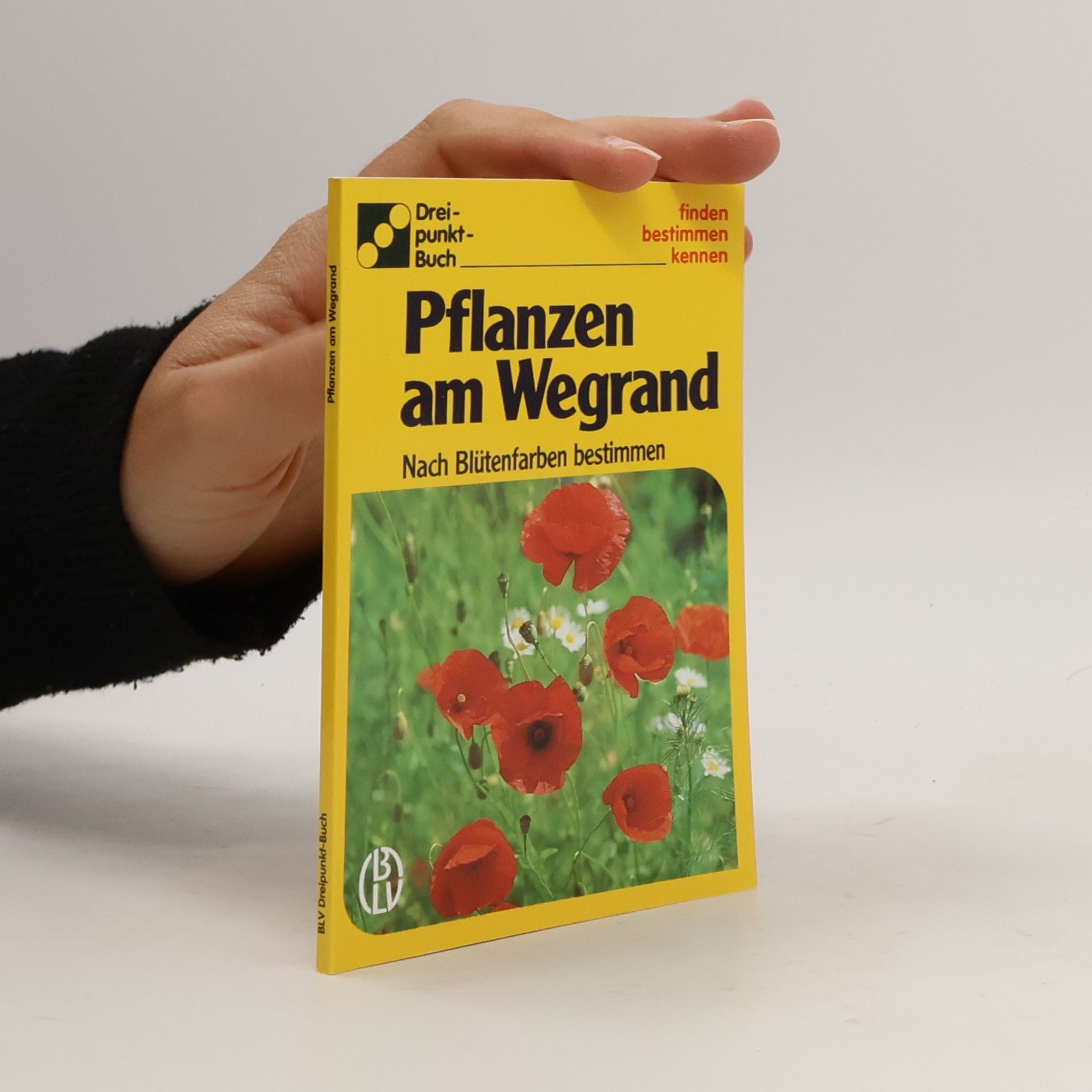 Pflanzen am Wegrand
