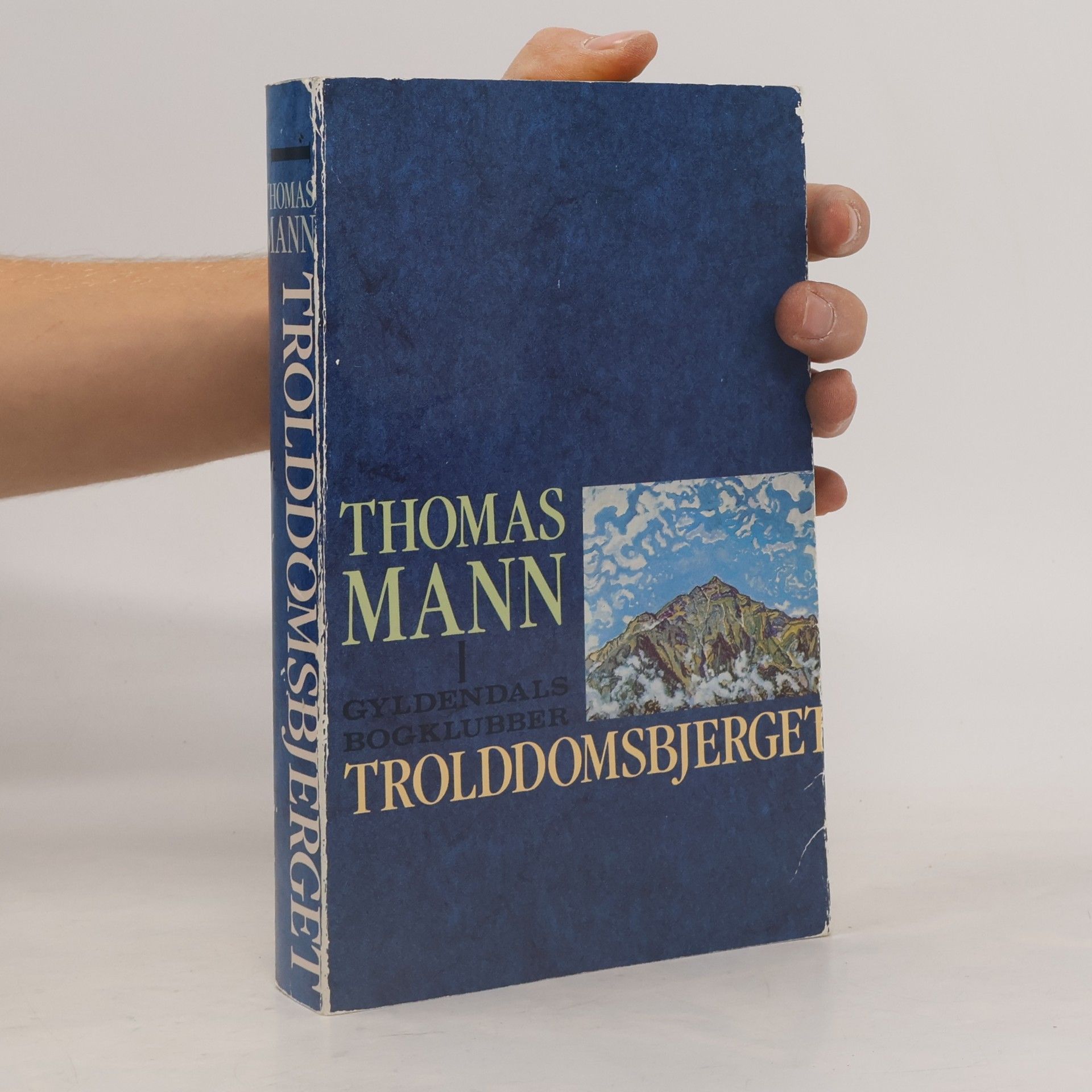 Thomas Mann Trolddomsbjerget I