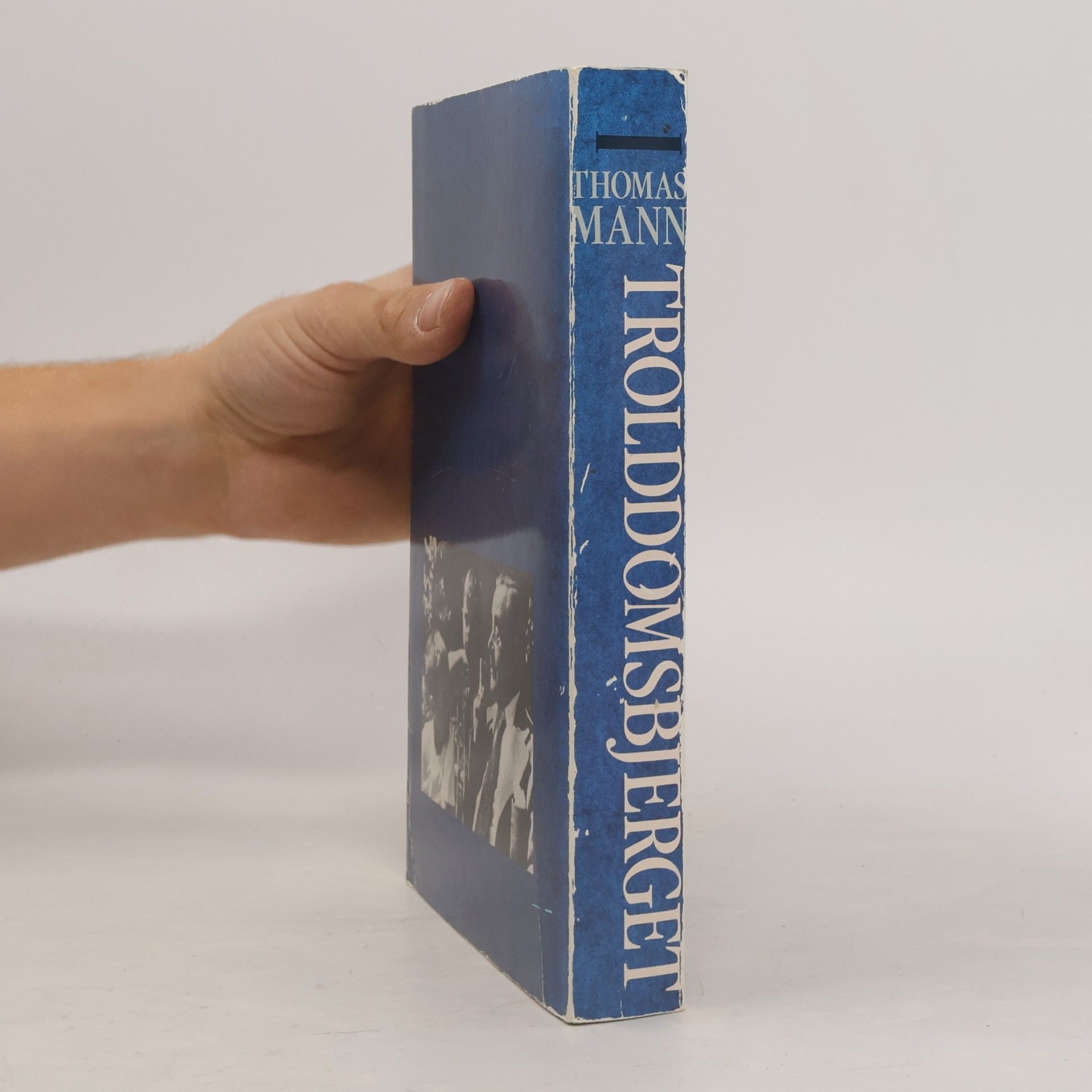Thomas Mann Trolddomsbjerget I