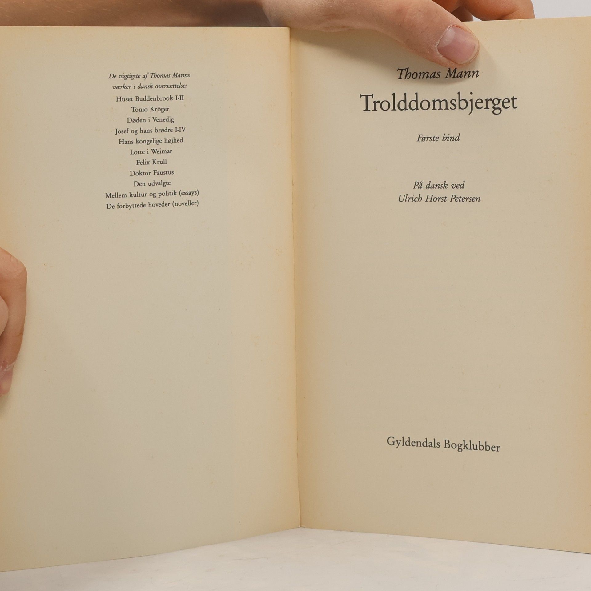 Thomas Mann Trolddomsbjerget I