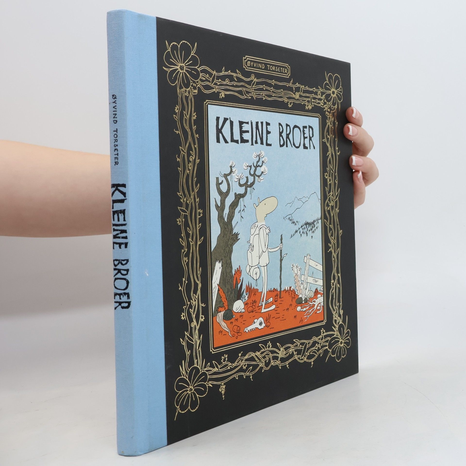 Øyvind Torseter Kleine Broer