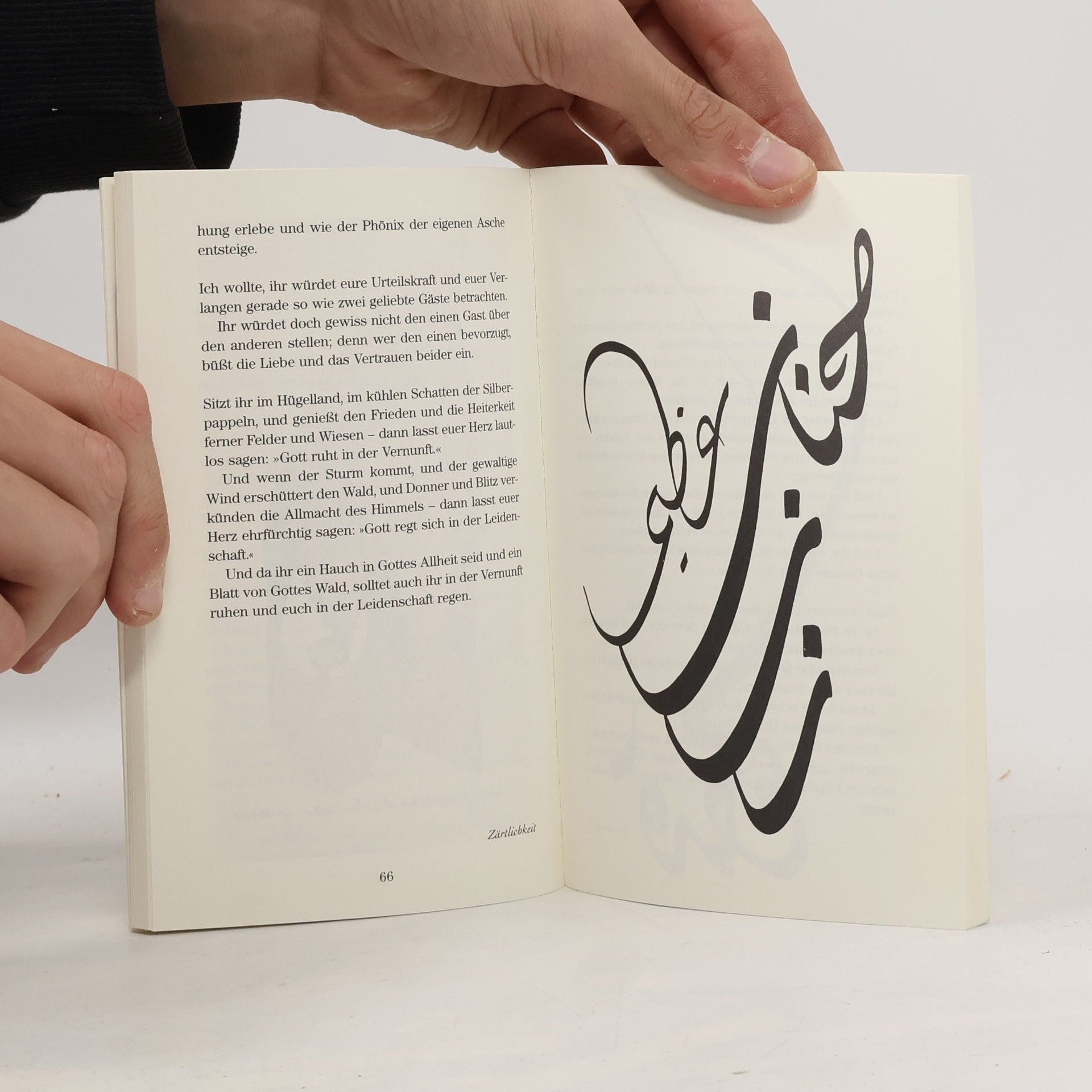 Kahlil Gibran Der Prophet