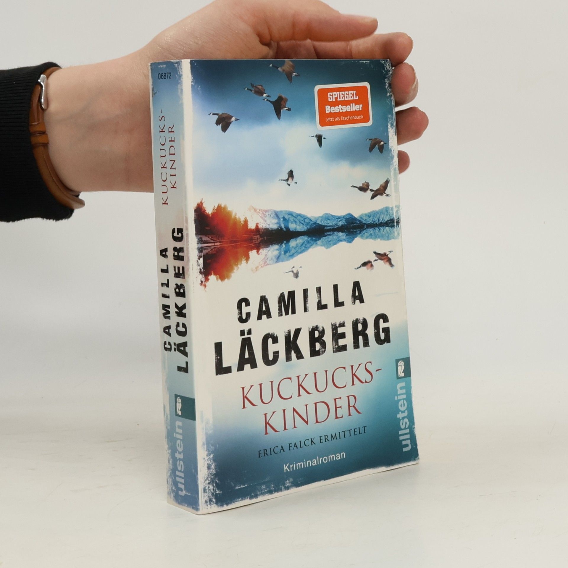 Kuckuckskinder (Ein Falck-Hedström-Krimi 11)