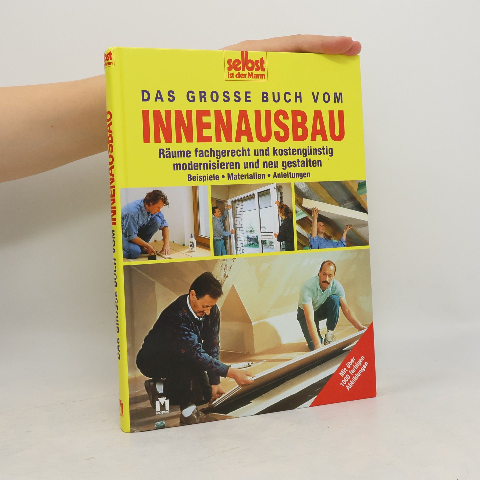Das grosse Buch vom Innenausbau