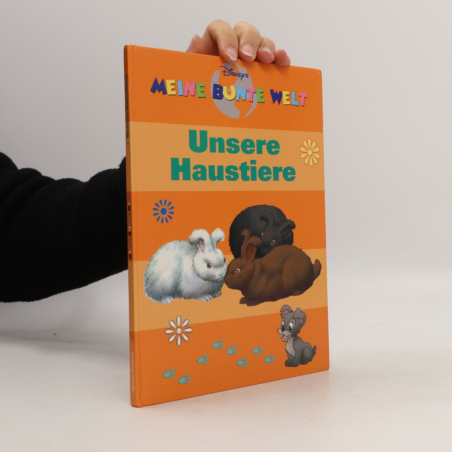 Meine bunte Welt: Unsere Haustiere