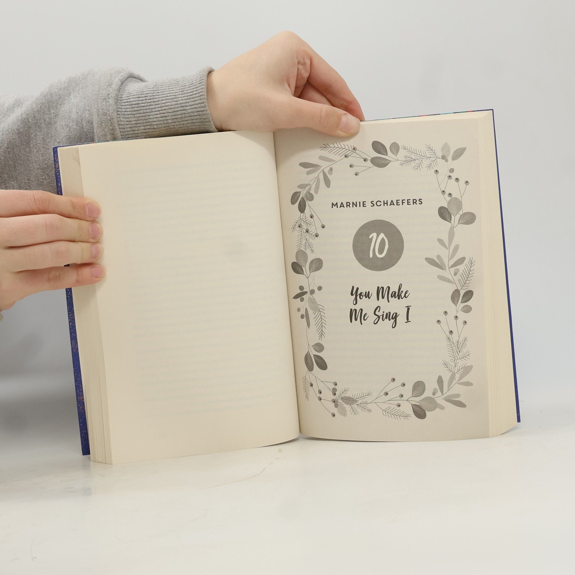 Bianca Iosivoni December Dreams. Ein Adventskalender, 24 Lovestorys