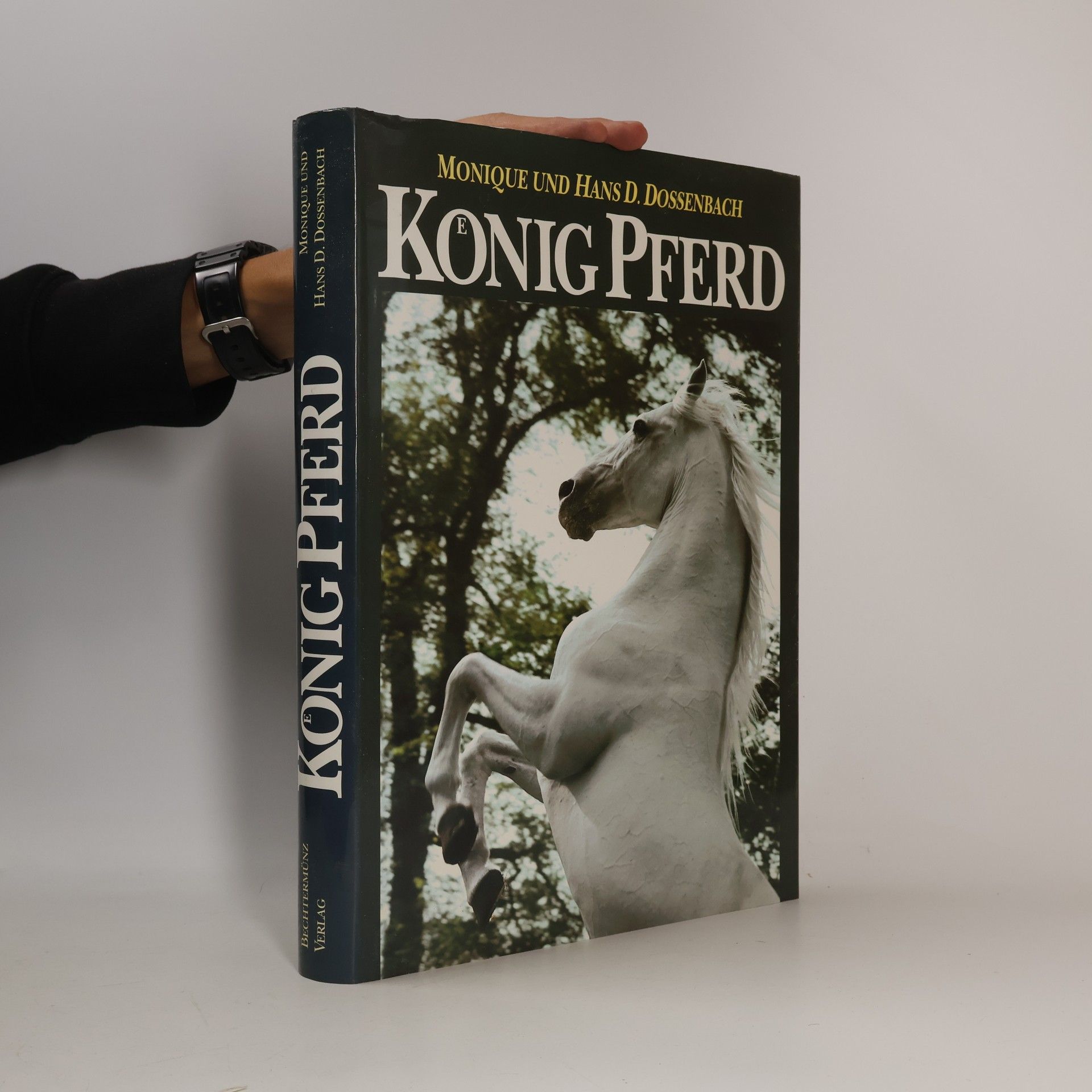 König Pferd