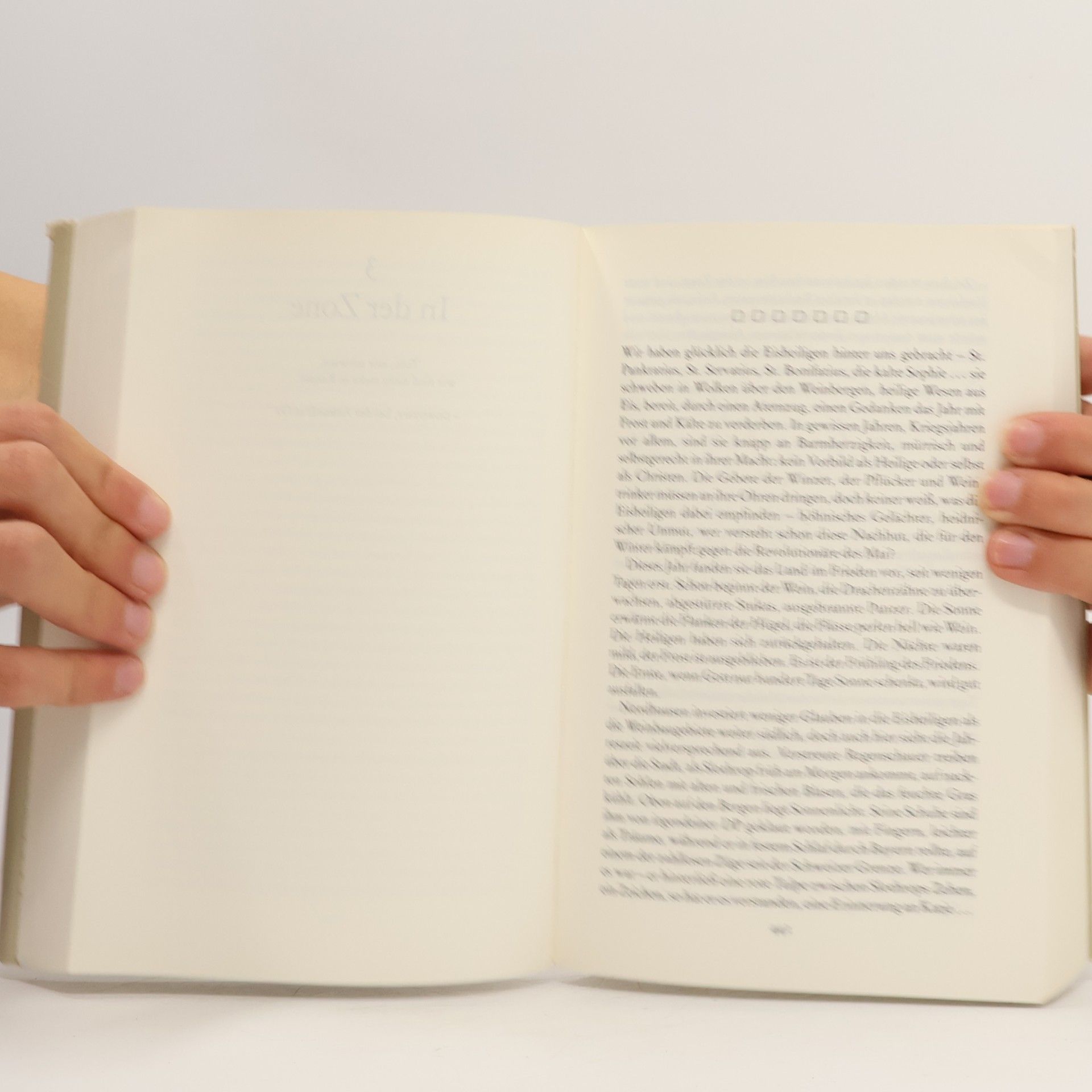 Thomas Pynchon Die Enden der Parabel