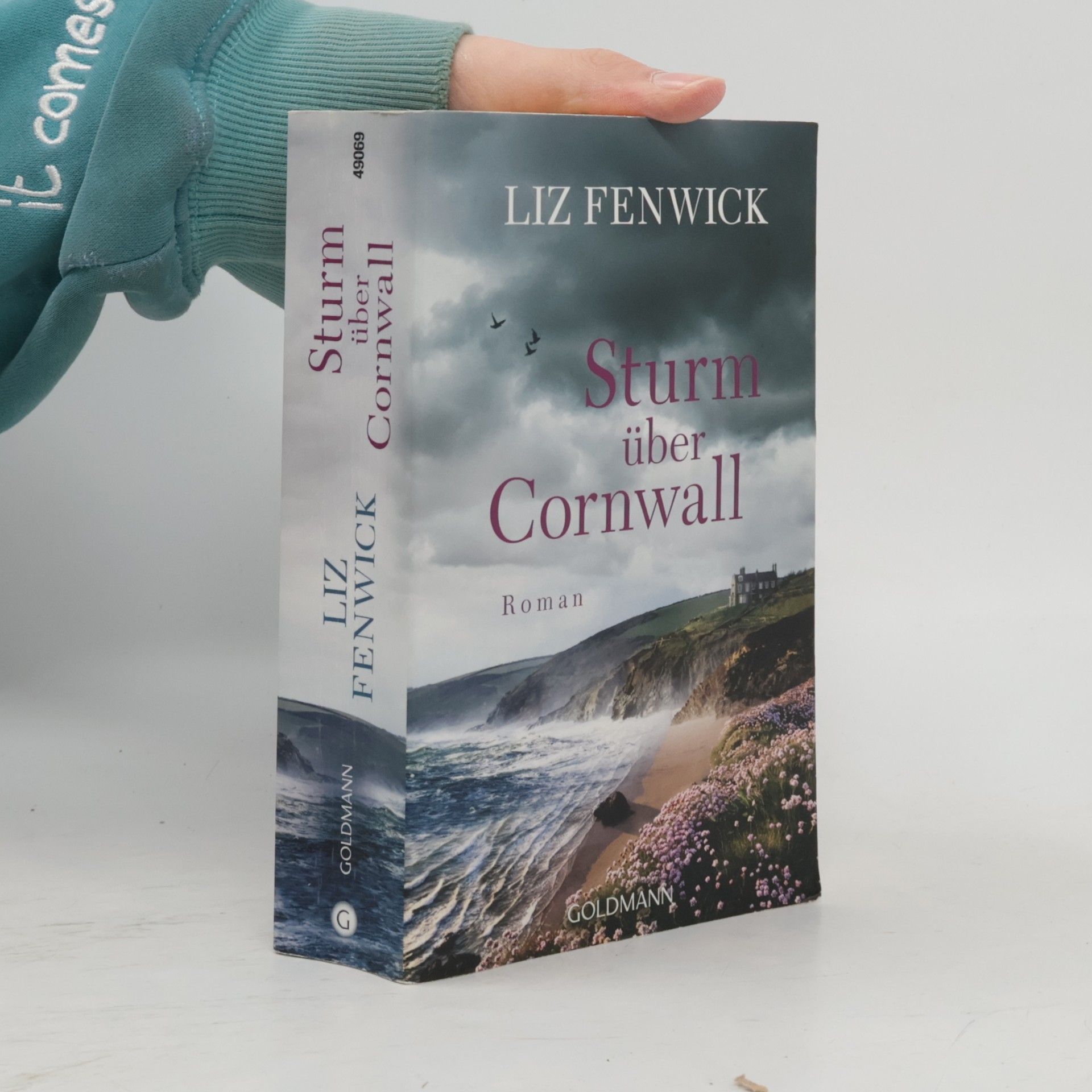 Liz Fenwick Sturm über Cornwall